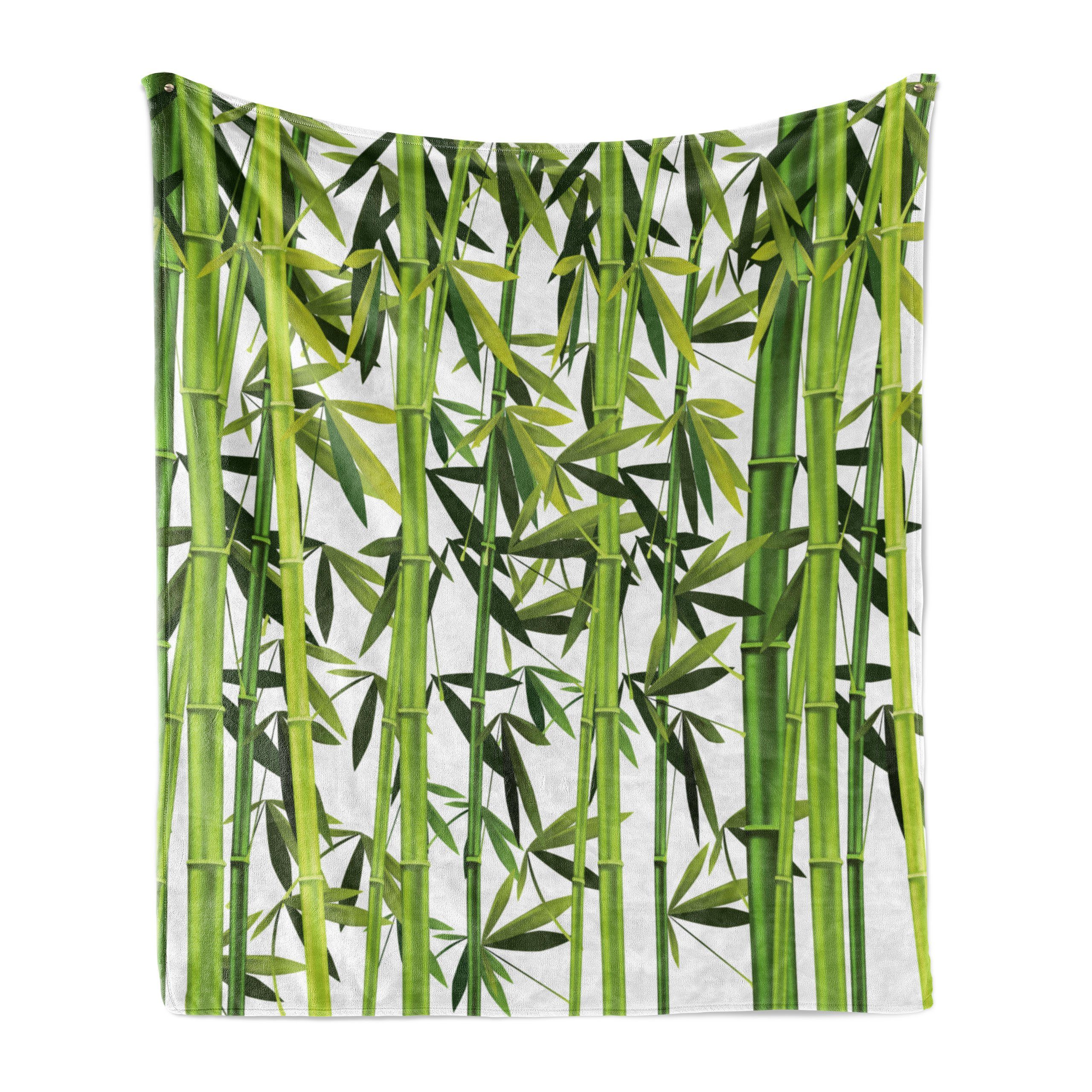 Wohndecke Gemütlicher Plüsch für den Innen- und Außenbereich, Abakuhaus, Bambus Frische grüne Pflanzen