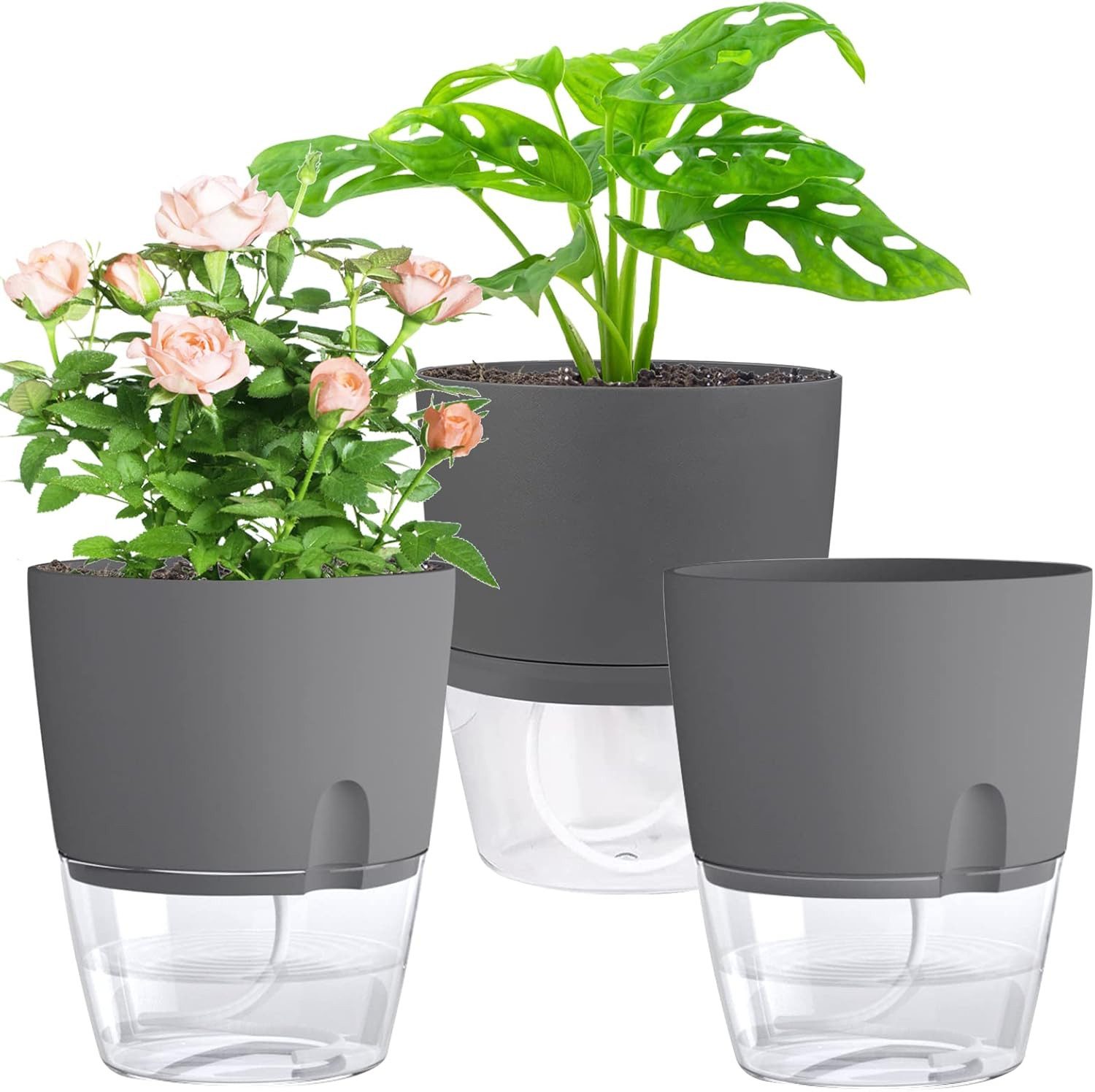 Refined Living Kräutertopf mit Selbstbewässerung, 3er günstig online kaufen
