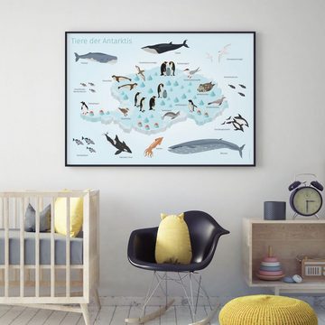 nikima Poster Antarktis, Antarktis, Kinder Lernposter