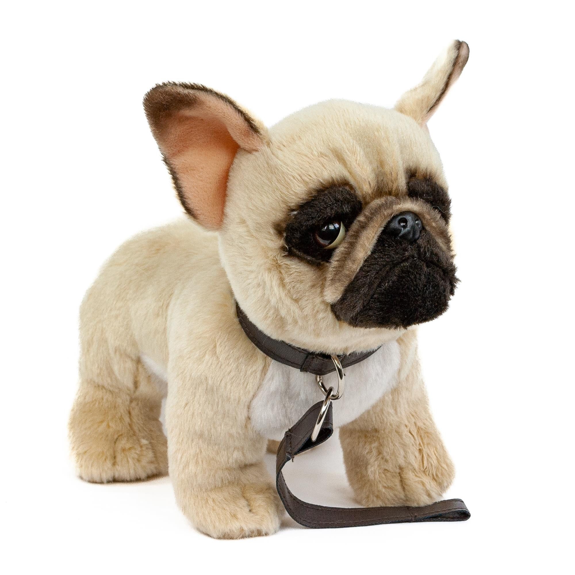 Teddys Rothenburg Kuscheltier Kuscheltier Französische Bulldogge beige mit Leine 23 cm Plüschhund (Stoffhund, Plüschtier, Stofftier, Stoffbulldogge, Plüschbulldogge)