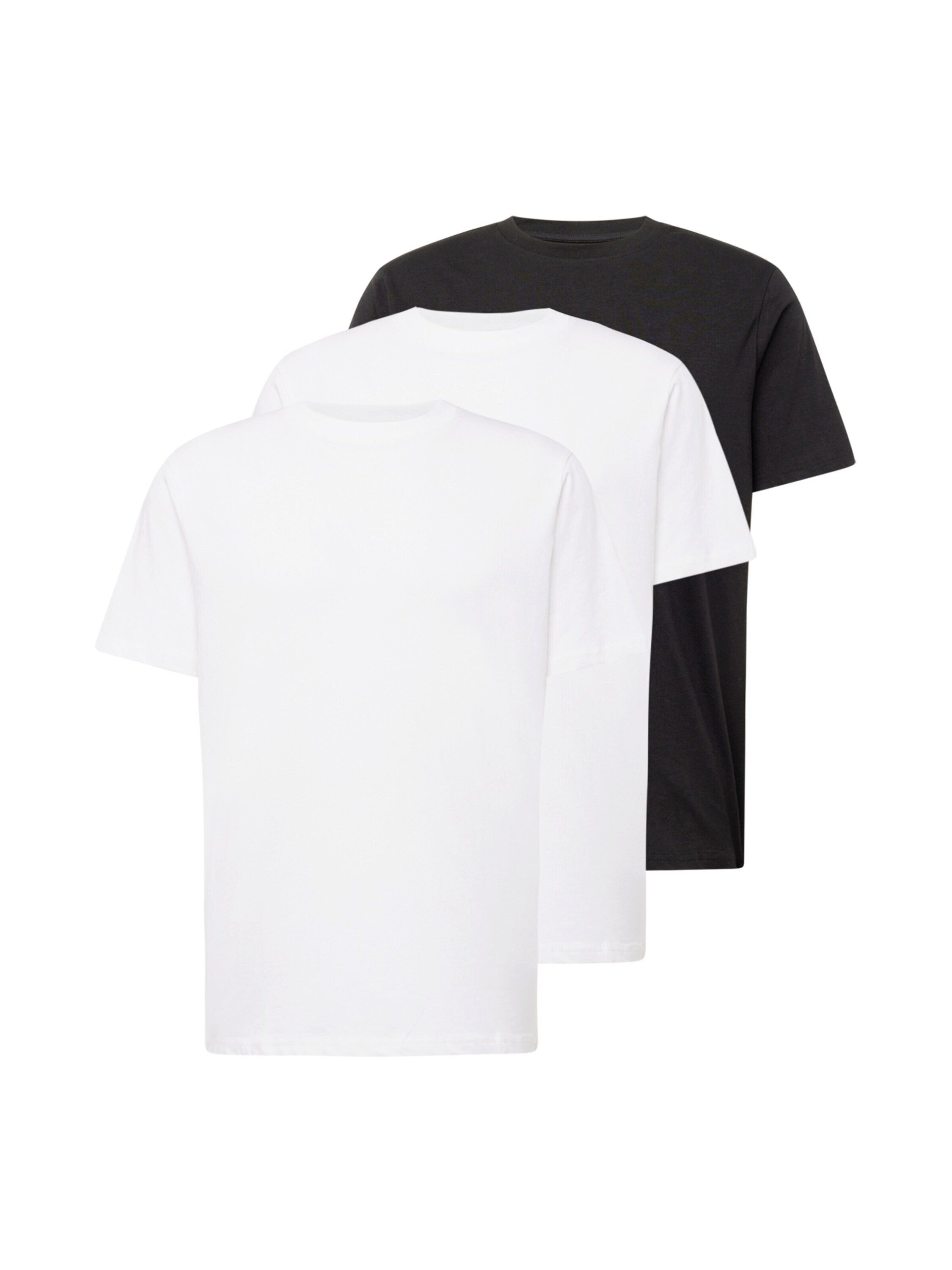 KnowledgeCotton Apparel T-Shirt (3-tlg)