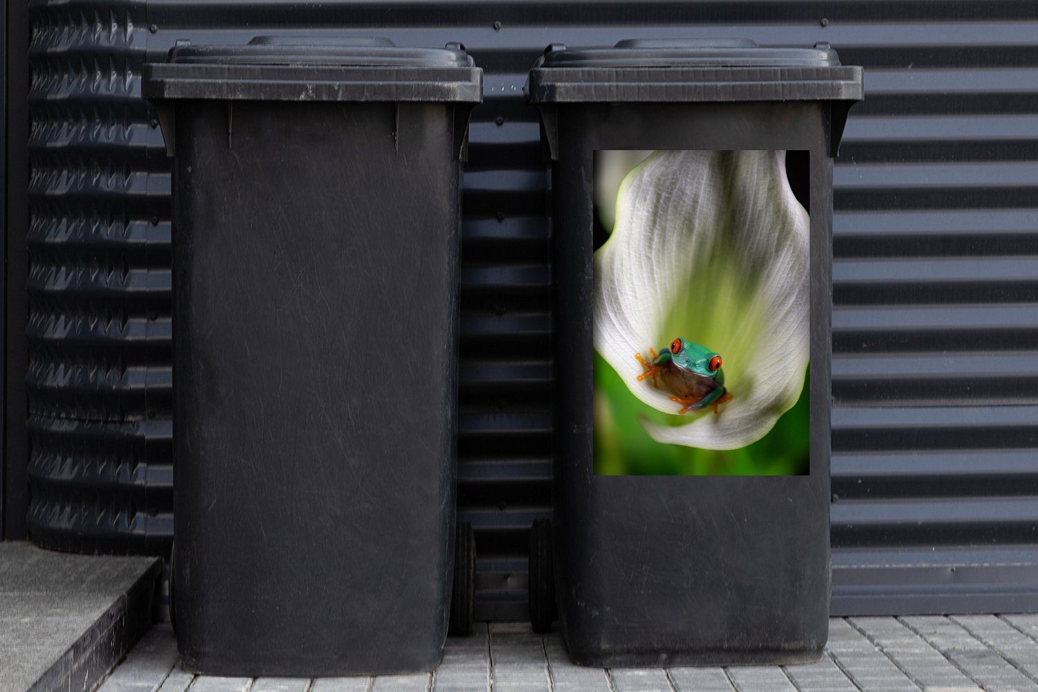 in einer Abfalbehälter Nahaufnahme Frosches MuchoWow Mülleimer-aufkleber, Blume St), Sticker, (1 Wandsticker eines Container, Mülltonne,