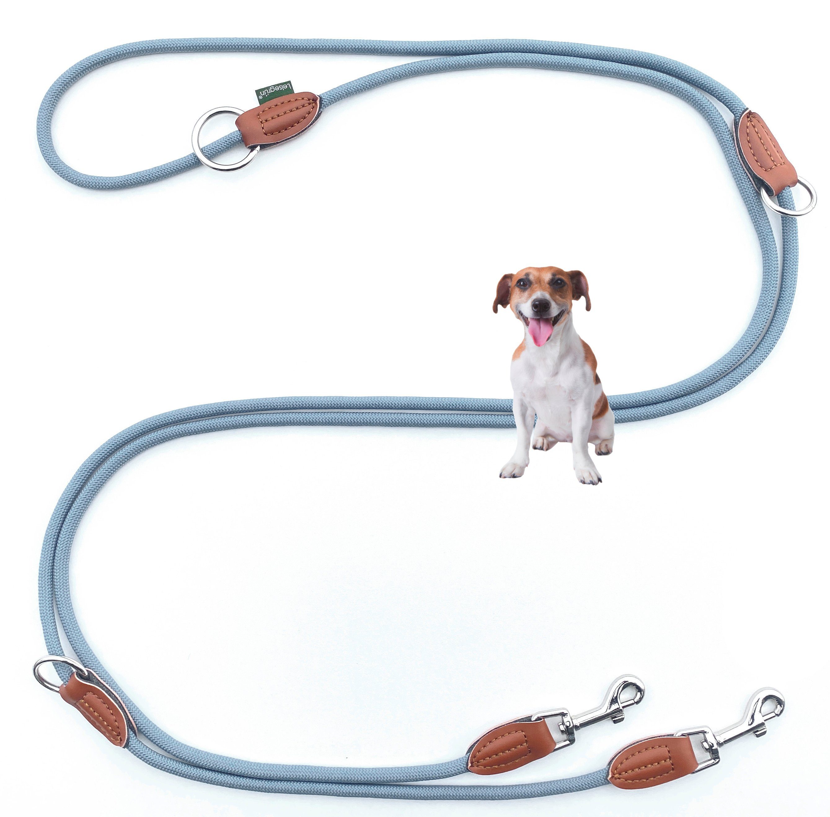 Leisegrün Hundeleine Hundeleine kleine Hunde, 4-fach verstellbar mit 2 Karabiner, 3 m, Nylon