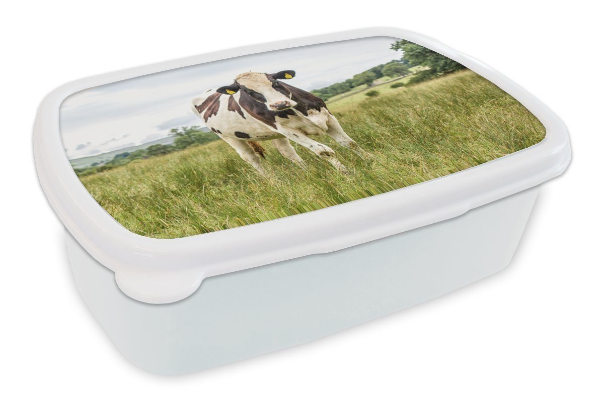 MuchoWow Lunchbox Kuh - Gras - Landschaft, Kunststoff, (2-tlg), Brotbox für Kinder und Erwachsene, Brotdose, für Jungs und Mädchen weiß