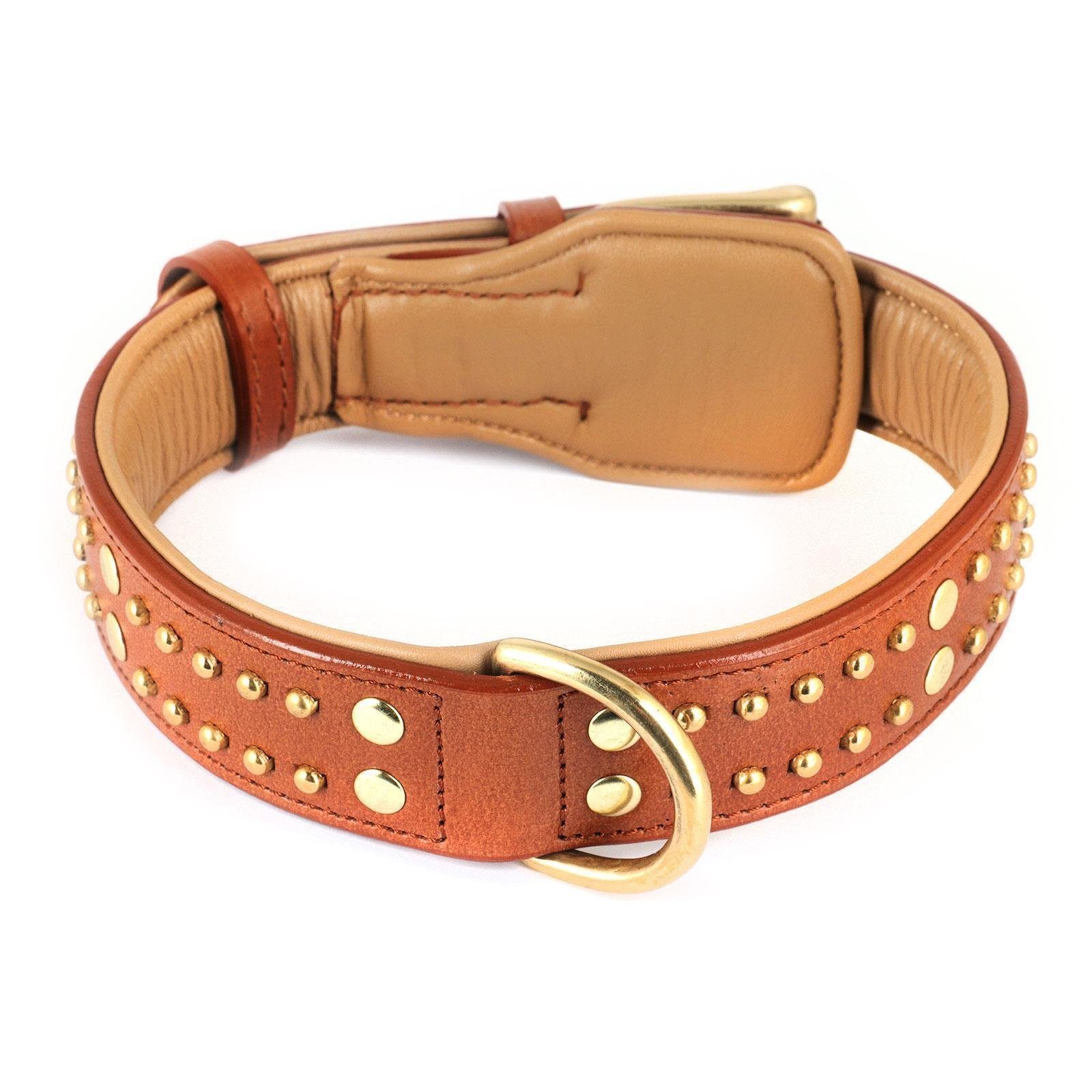 Monkimau Hunde-Halsband Hundehalsband aus Leder mit Nieten, Leder