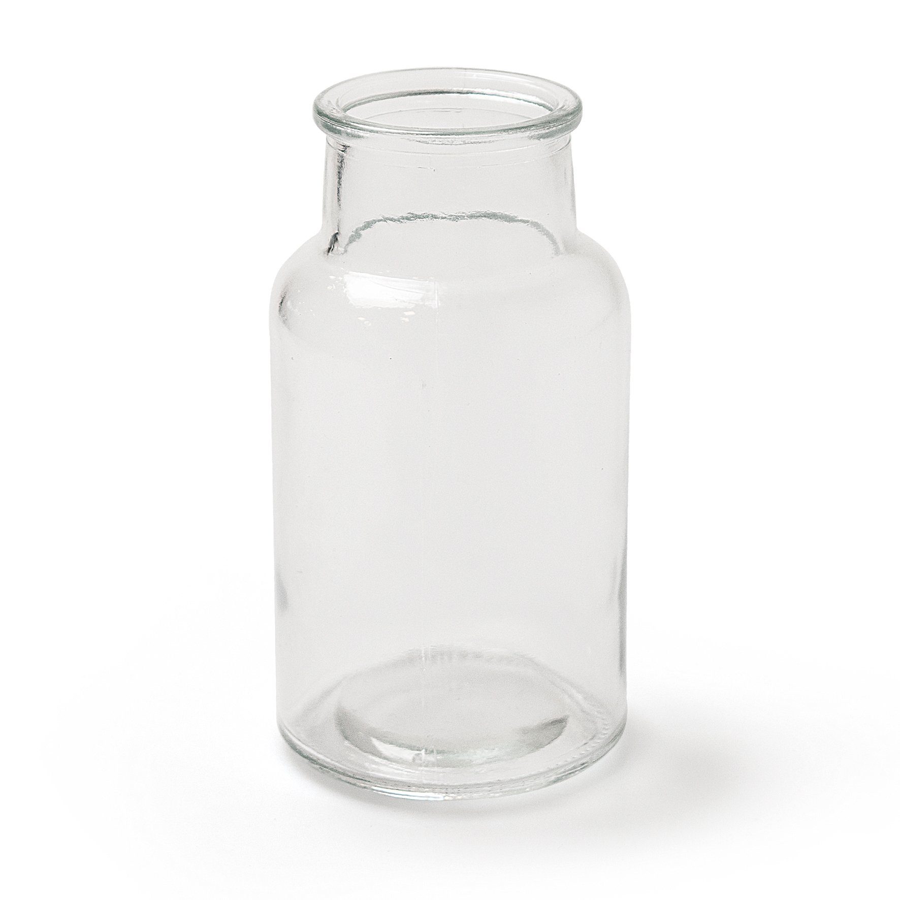 Annastore Dekovase Glasflasche EMMA Apothekerflaschen Glasvase Blumenvase (6 St)