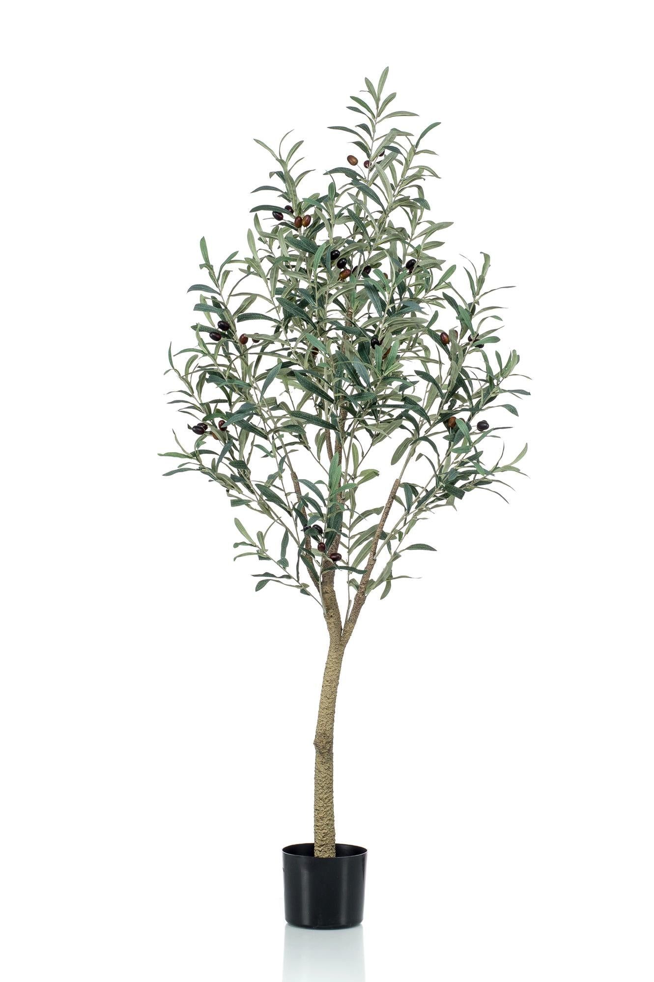 Kunstpflanze Kunstpflanze – Olea Europaea – Olivenbaum – 140 cm, Florora