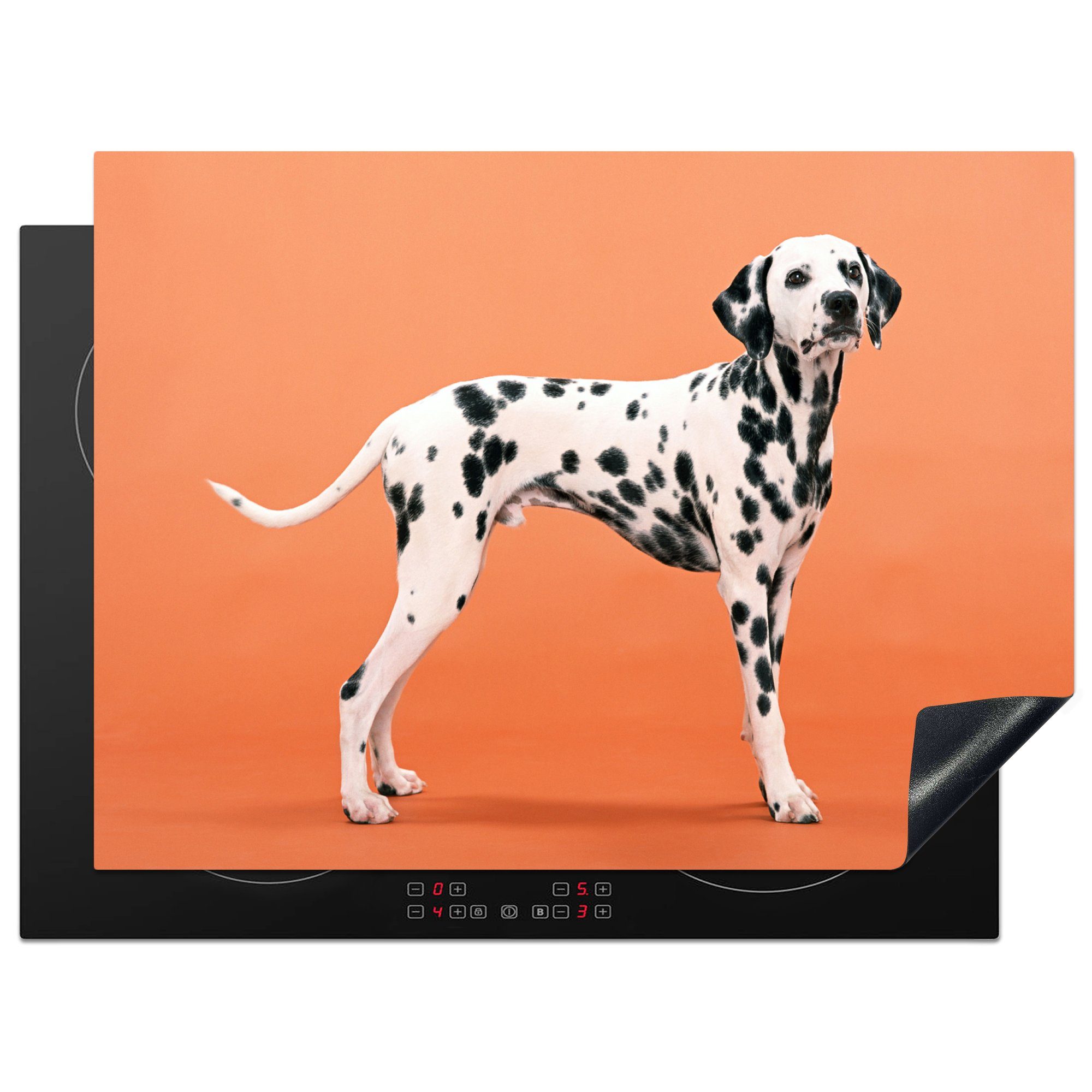 MuchoWow Herdblende-/Abdeckplatte Hund - Dalmatiner - Orange, Vinyl, (1 tlg), 70x52 cm, Mobile Arbeitsfläche nutzbar, Ceranfeldabdeckung