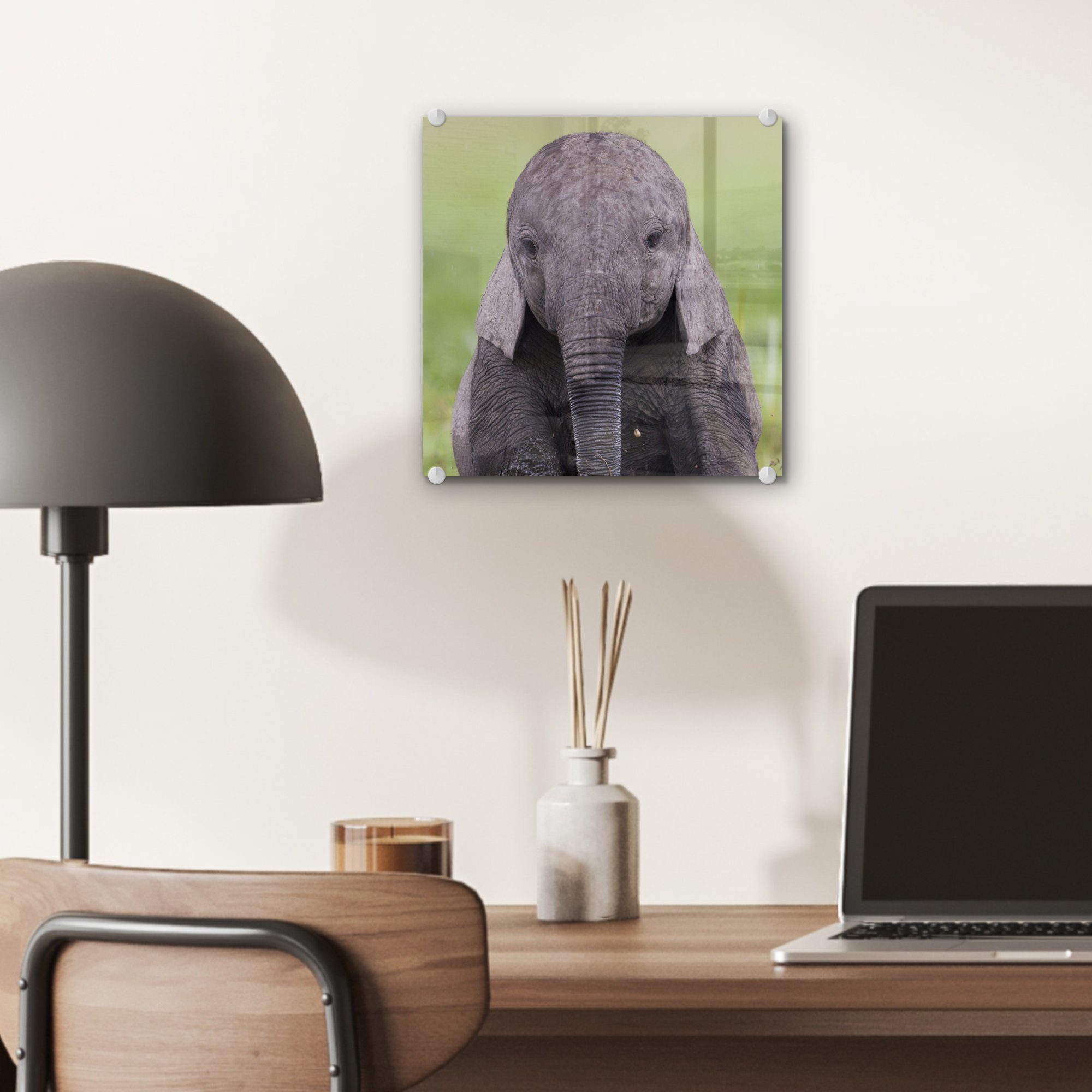 - - Acrylglasbild Tiere Elefant - Foto MuchoWow - - auf (1 Baby St), auf Wanddekoration - Glas Glasbilder - Glas Natur, Wandbild Gras Bilder