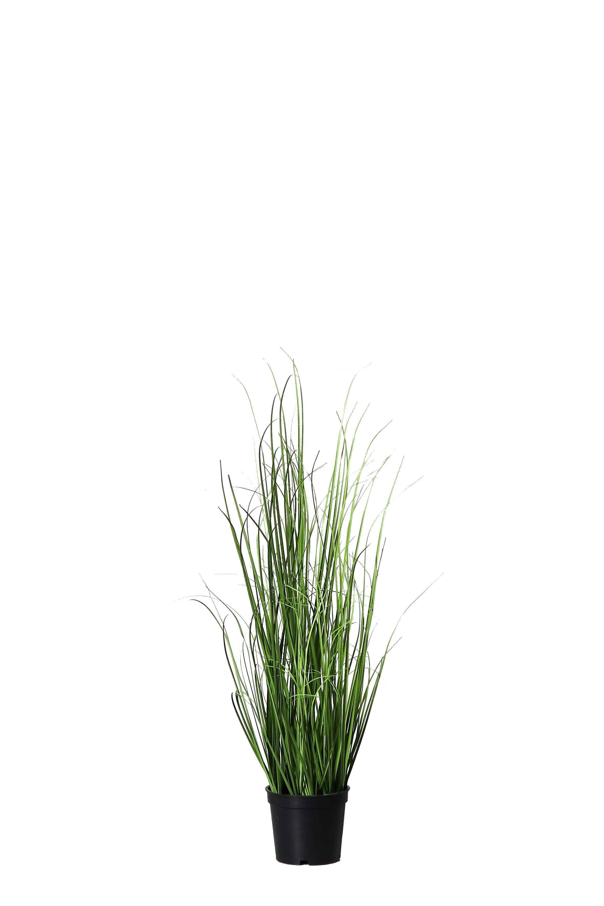 Kunstgras Gras im Topf 60/95/150 cm im schwarzer Kunststofftopf Kunstpflanze, mucPlants, Höhe 60 cm