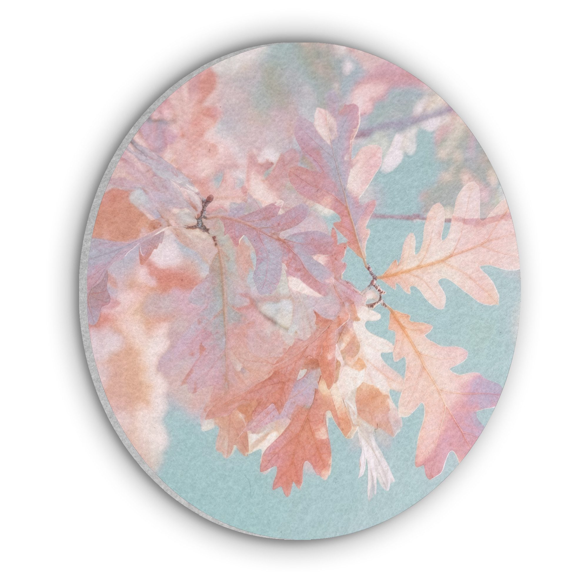 MuchoWow Gemälde Eikenbladeren - Takken - Roze, Fotodruck (1 St), Akustikpaneele rund, Schalldämmung, Akustikbilder 30x30 cm