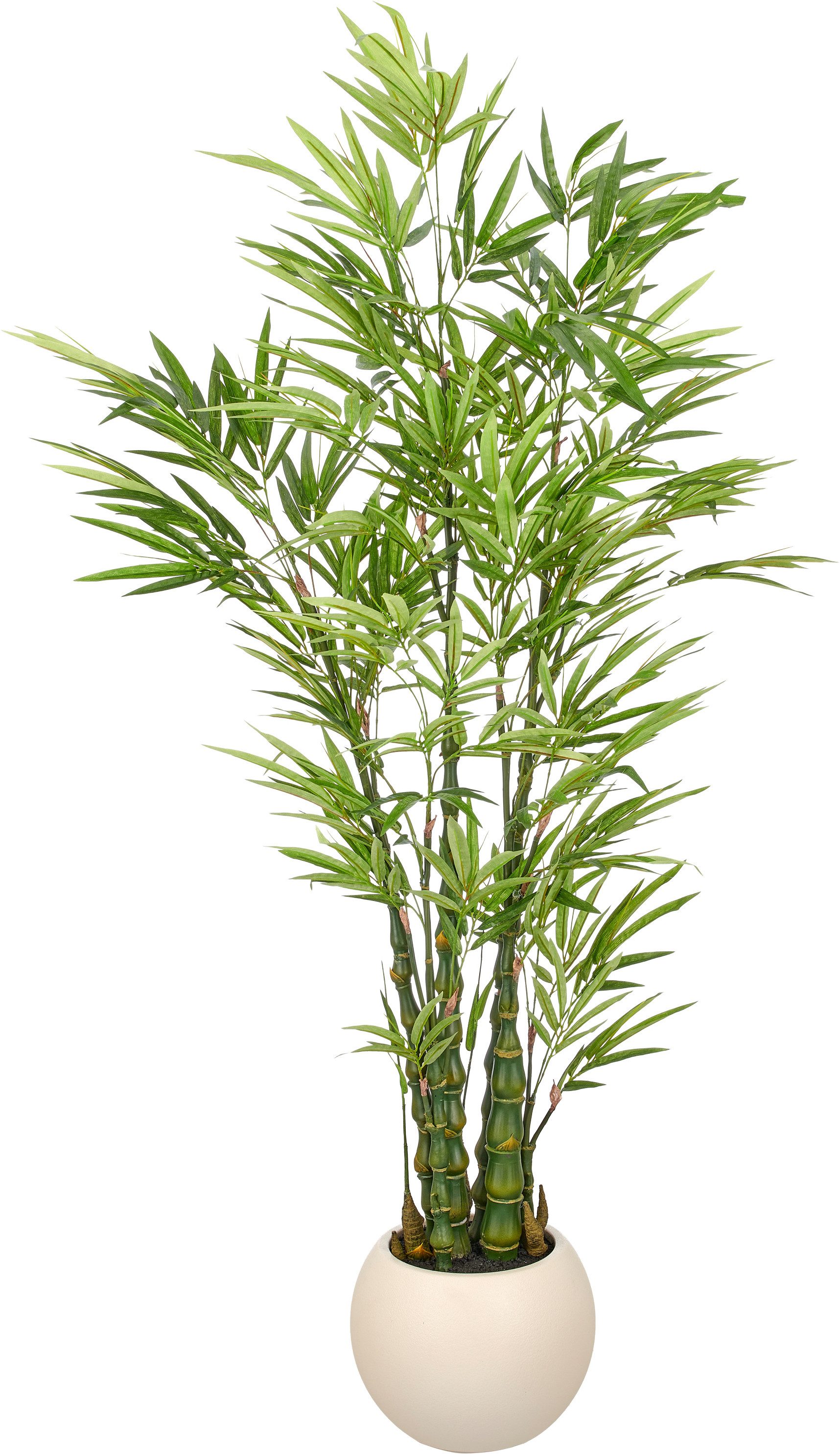 Kunstbambus Bambus, Creativ green, Höhe 190 cm, in beeindruckender Größe