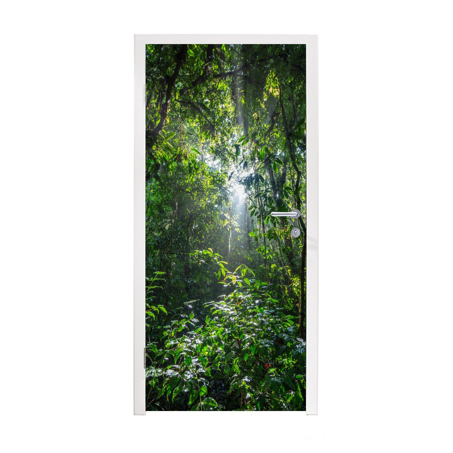 MuchoWow Türtapete Die Bäume Tür, Dschungels bricht Türaufkleber, bedruckt, 75x205 im, cm für Matt, durch des Sonne Fototapete (1 die St)