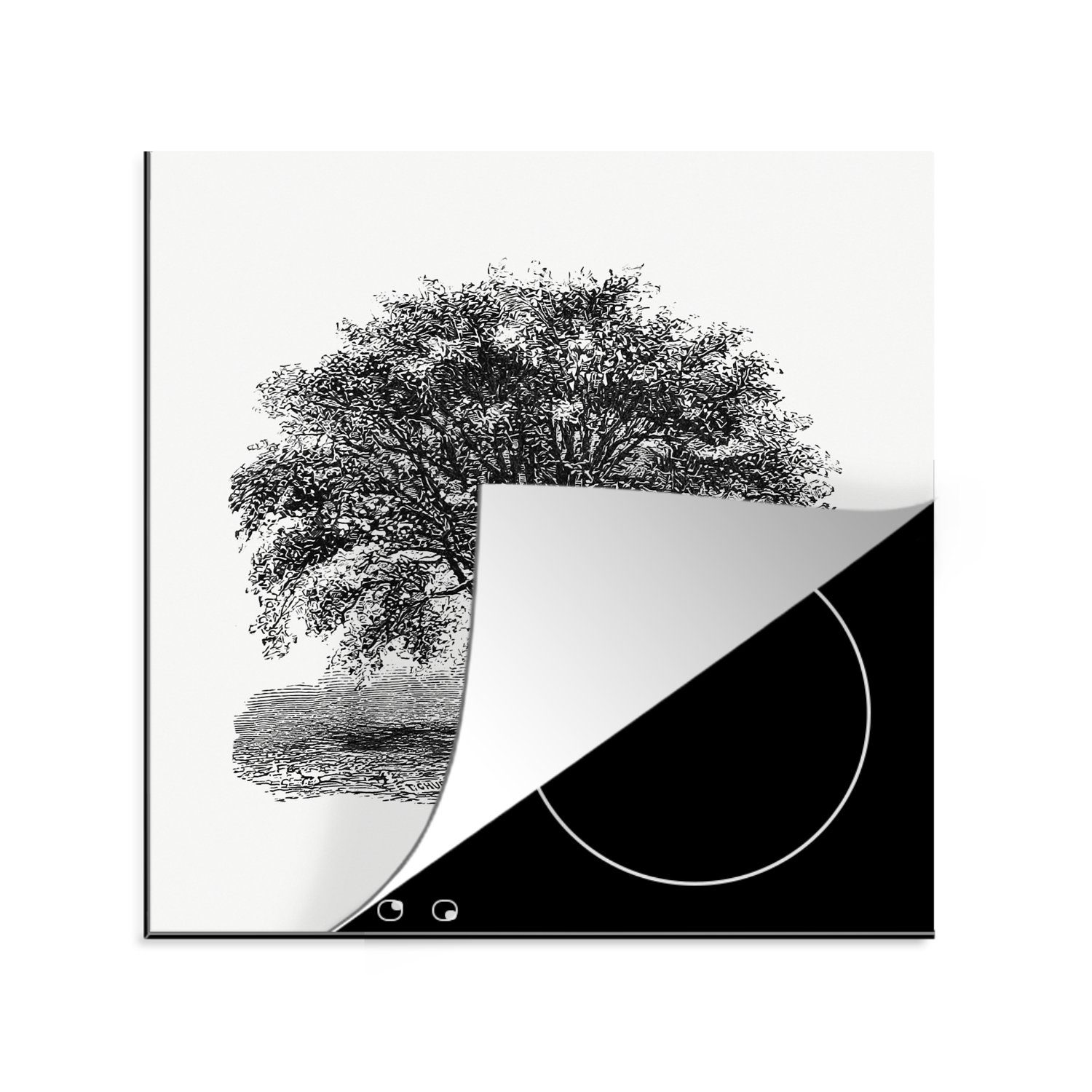 MuchoWow Herdblende-/Abdeckplatte Jahrgang - Baum - Natur, Vinyl, (1 tlg), 78x78 cm, Ceranfeldabdeckung, Arbeitsplatte für küche