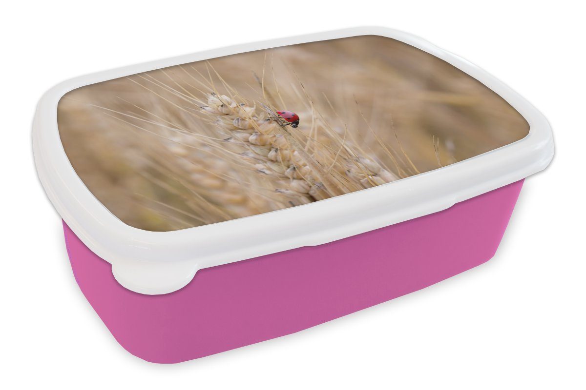 MuchoWow Lunchbox Marienkäfer in einem Weizenfeld, Kunststoff, (2-tlg), Brotbox für Erwachsene, Brotdose Kinder, Snackbox, Mädchen, Kunststoff rosa