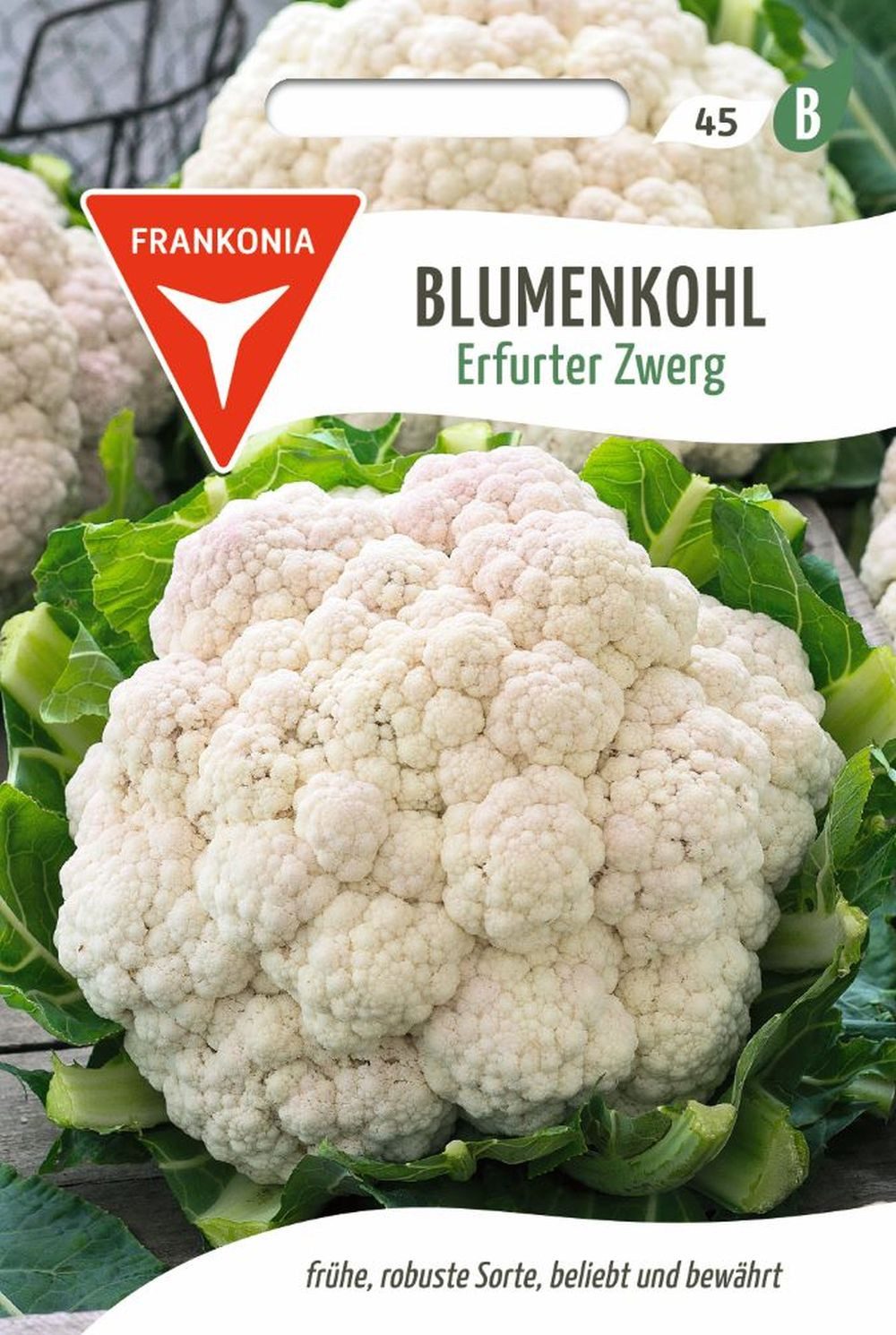 FRANKONIA Gemüsesamen Blumenkohl, Erfurter Zwerg - Saatgut Samen, Brassica oleracea