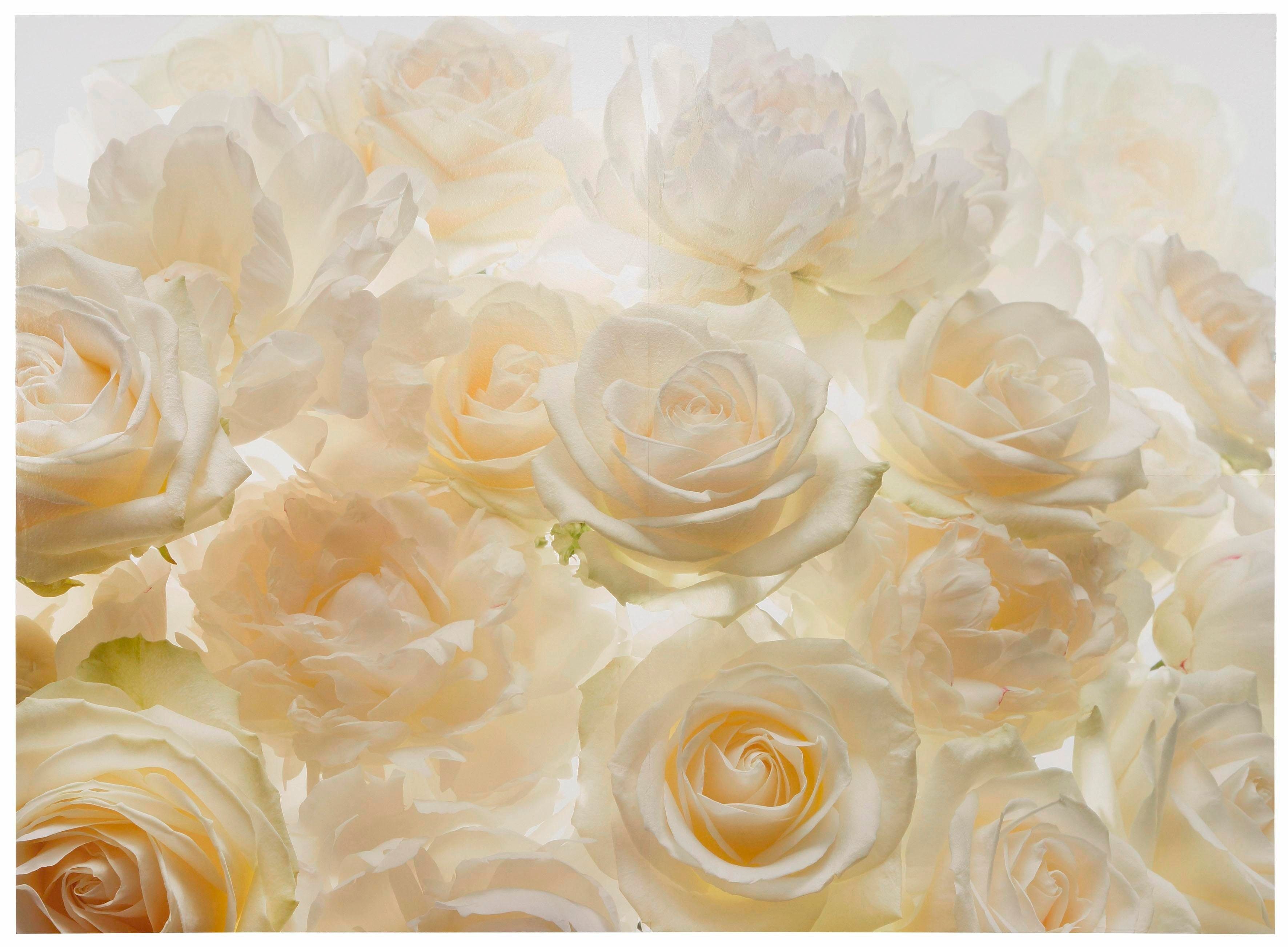 Komar Vliestapete Vlies - Shalimar - Größe 368 x 248 cm, glatt, bedruckt, Wohnzimmer, Schlafzimmer