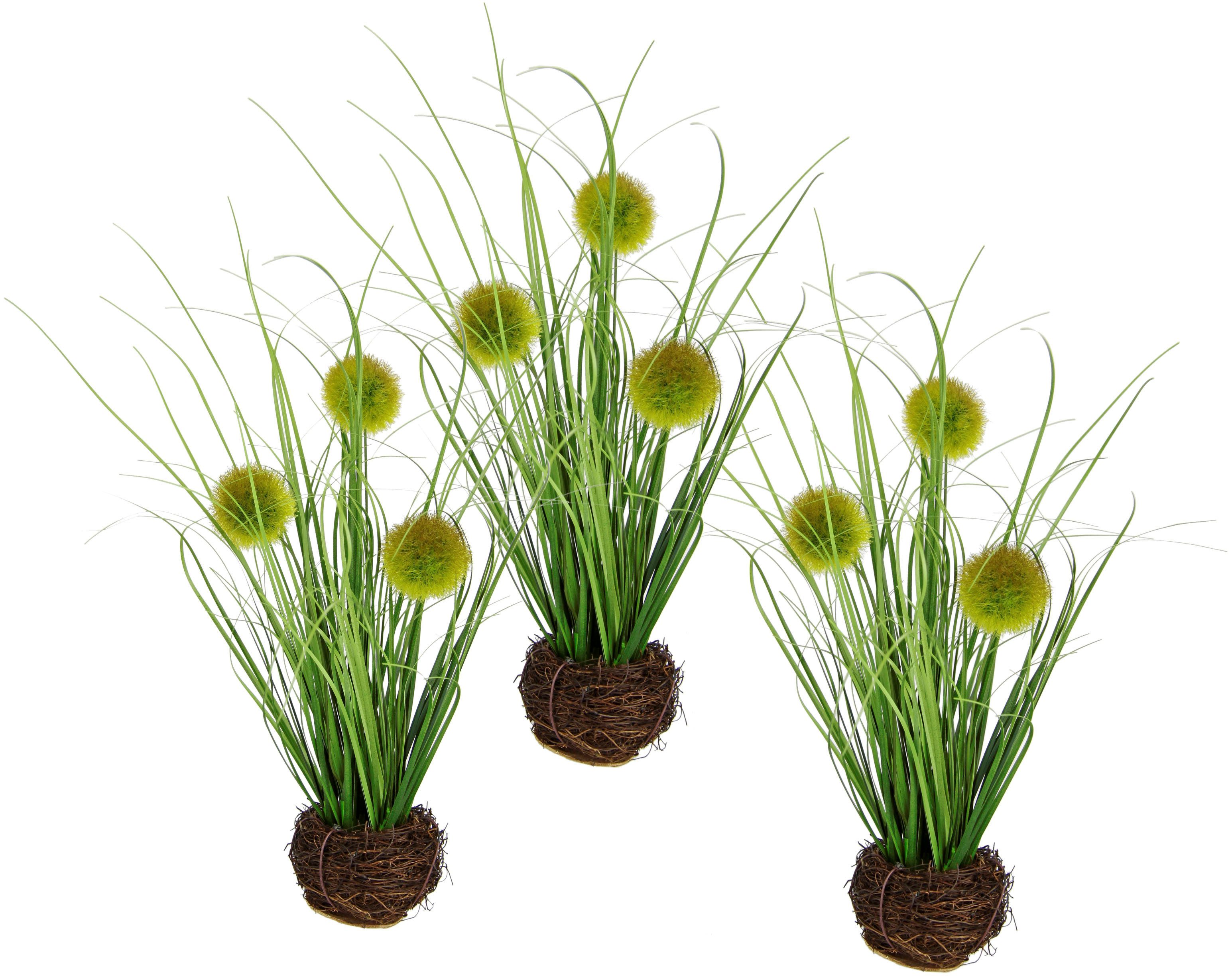 Kunstgras Künstliches Gras 'Knopfgras', I.GE.A., Höhe günstig online kaufen