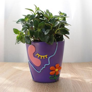 DOPWii Blumentopf Buntes Pflanzgefäß, niedliches einzigartiges Pflanzgefäß im, Vintage-Stil mit Drainage, geeignet für Zimmerpflanzen und Sukkulenten