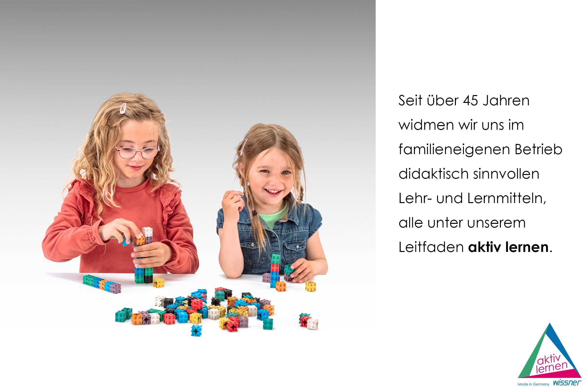 Wissner® aktiv lernen Lernspielzeug Zahlenstrahl 100er-Rechenband 1m lang, RE-Plastic® (1-St), RE-Plastic®