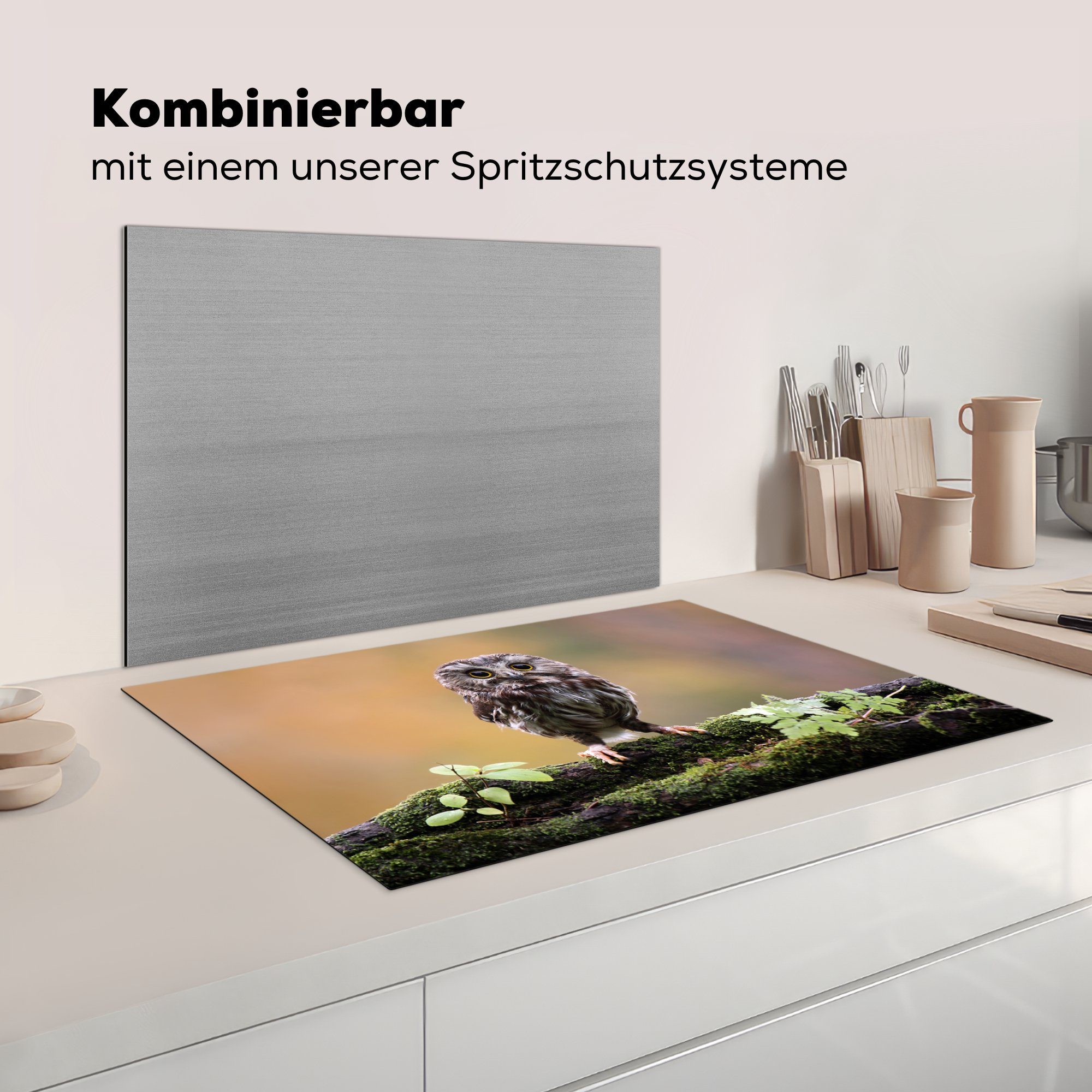 Ceranfeldabdeckung (1 Schutz Ast, Eule küche, 81x52 die cm, Induktionskochfeld tlg), Herdblende-/Abdeckplatte MuchoWow auf moosbewachsenen für einem Vinyl,