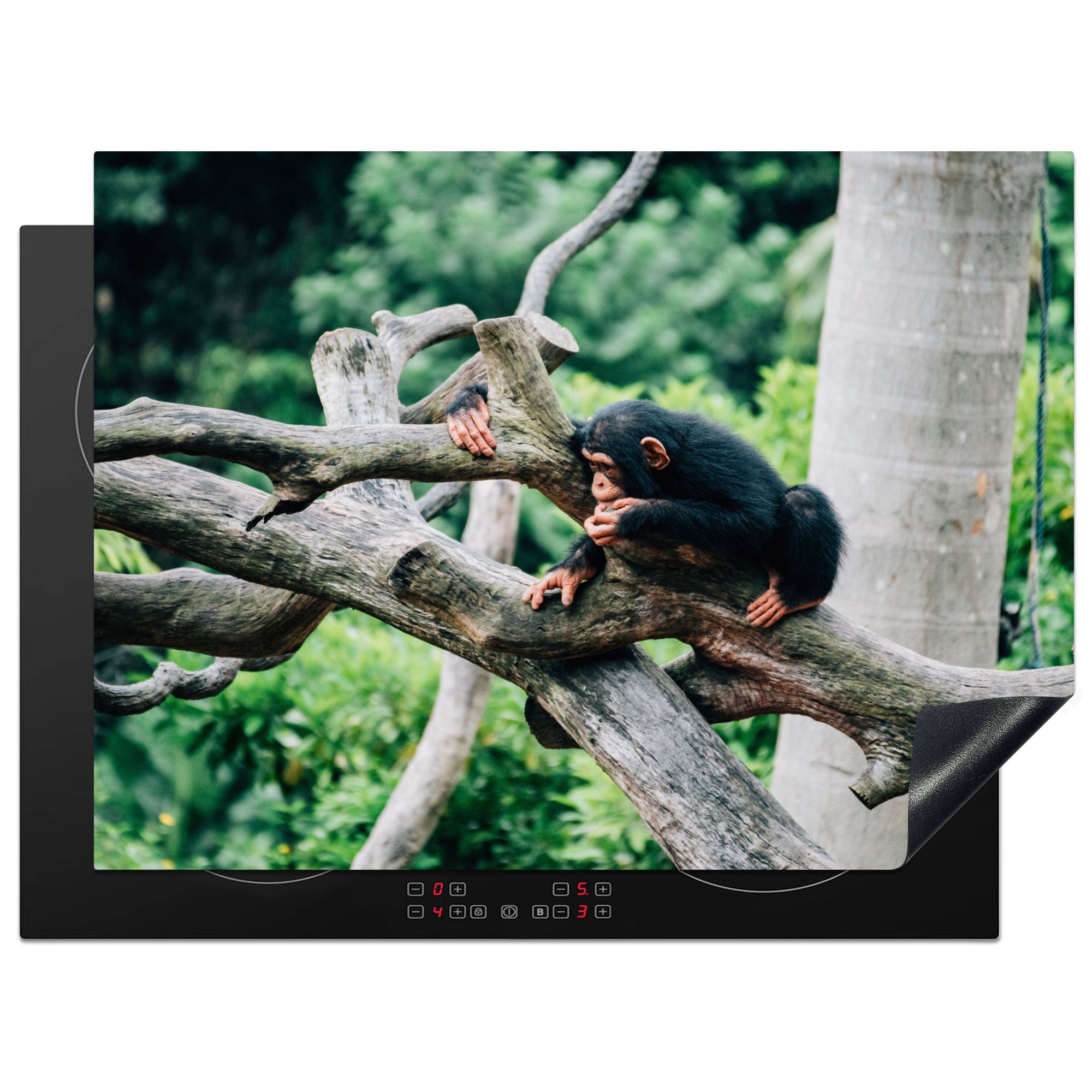 MuchoWow Herdblende-/Abdeckplatte Junger Schimpanse im Dschungel, Vinyl, (1 tlg), 70x52 cm, Mobile Arbeitsfläche nutzbar, Ceranfeldabdeckung