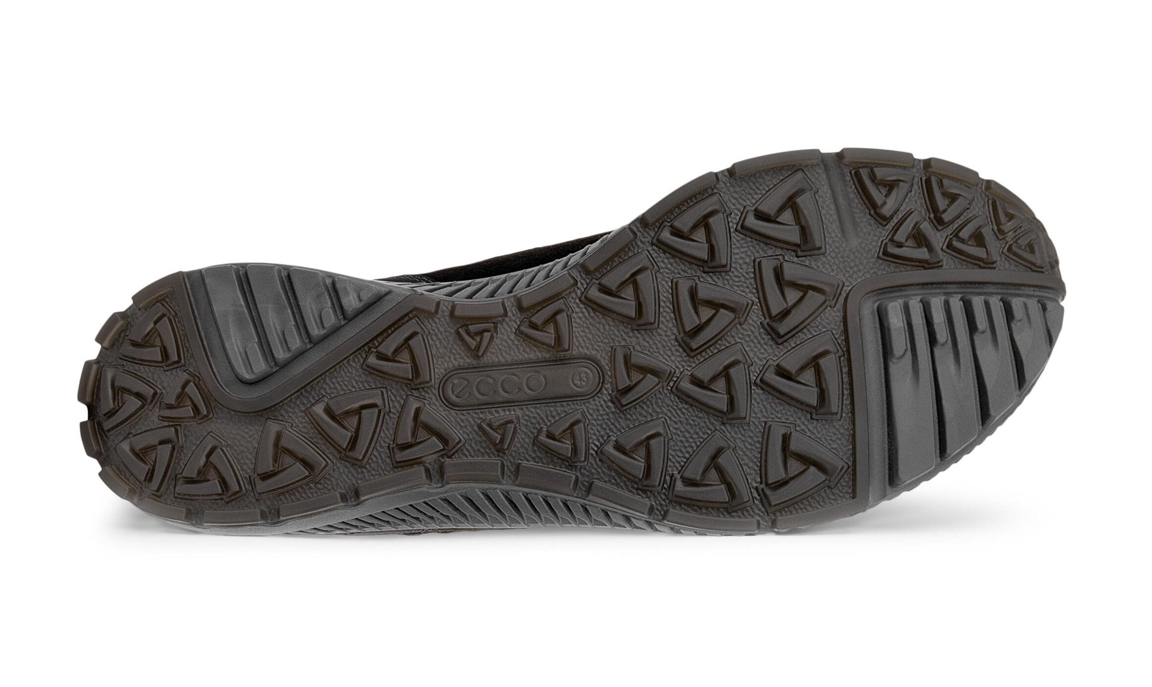 Ecco TERRACRUISE 2 M Sneaker mit GORE-TEX