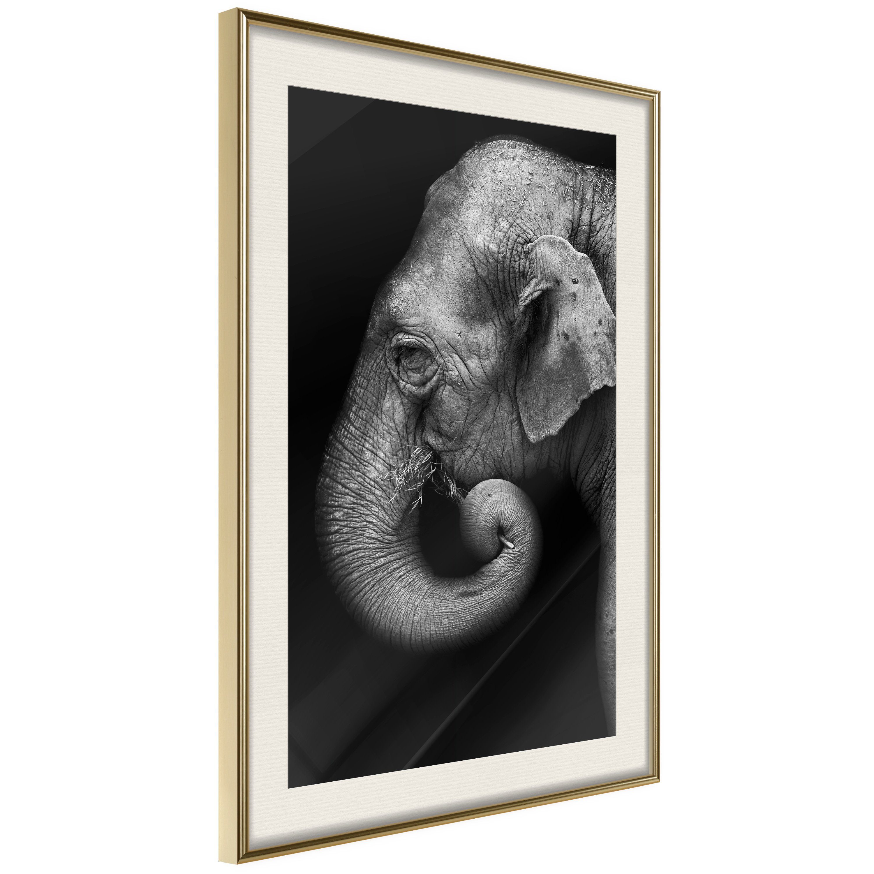 Artgeist Poster Portrait of Elephant []