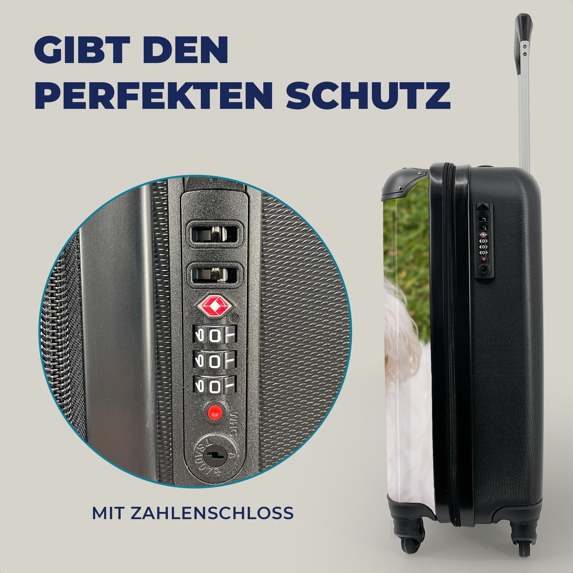 MuchoWow Handgepäckkoffer Handgepäck Trolley, Rollen, Reisetasche 4 rollen, schaut für mit Reisekoffer Ferien, Malteserhund auf