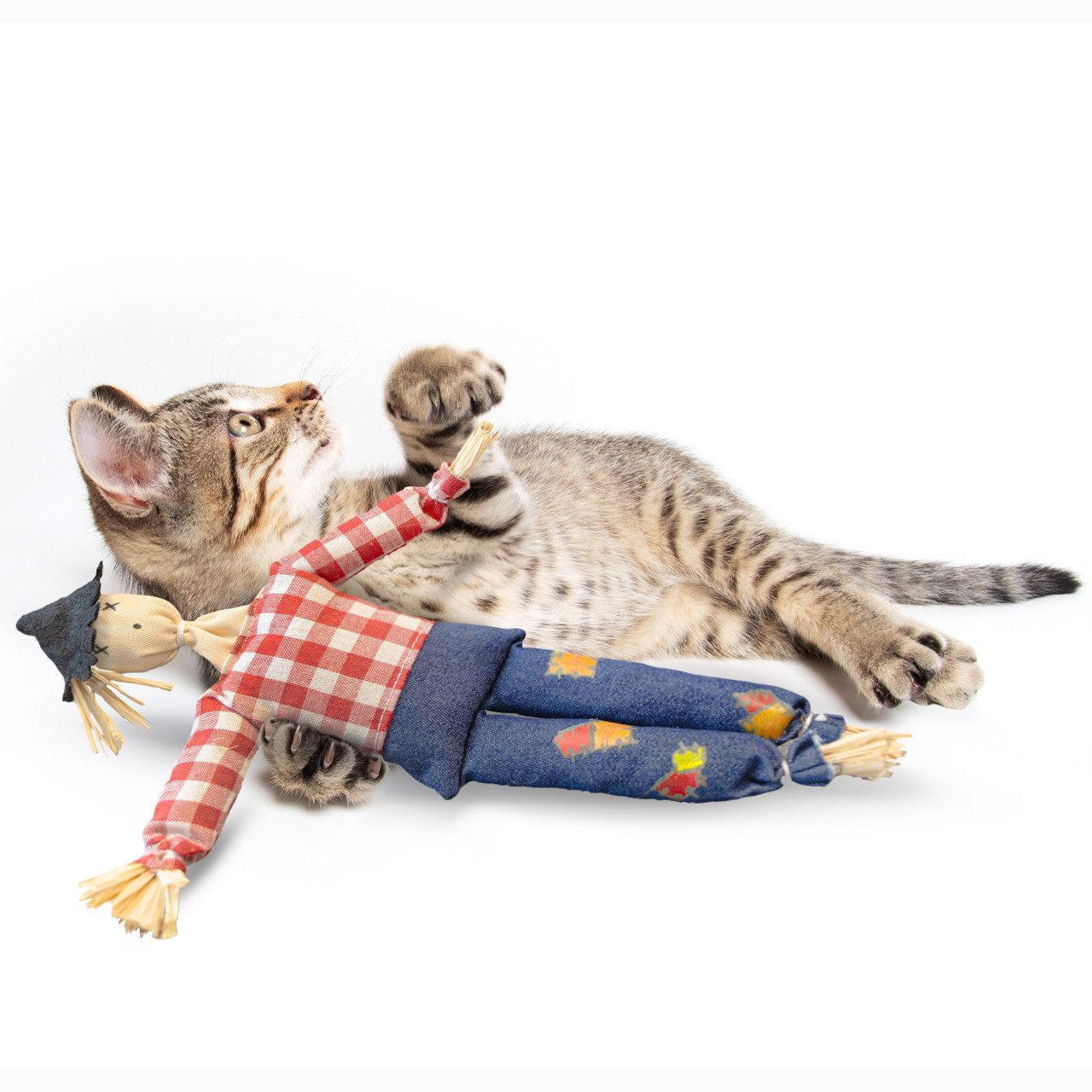 Canadian Cat Company Tier-Aktivitätsspiel Katzenspielzeug mit Katzenminze, Vogelscheuche mit Catnip, Katzenspielkissen, 24 x 4 x 31 cm