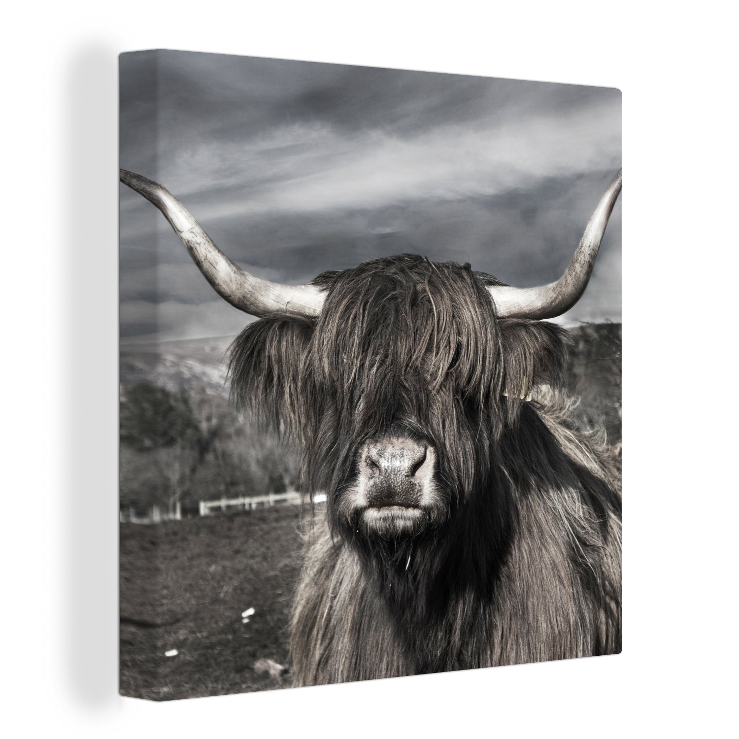 IKEA BILD HOCHLANDRIND: A Comprehensive Guide