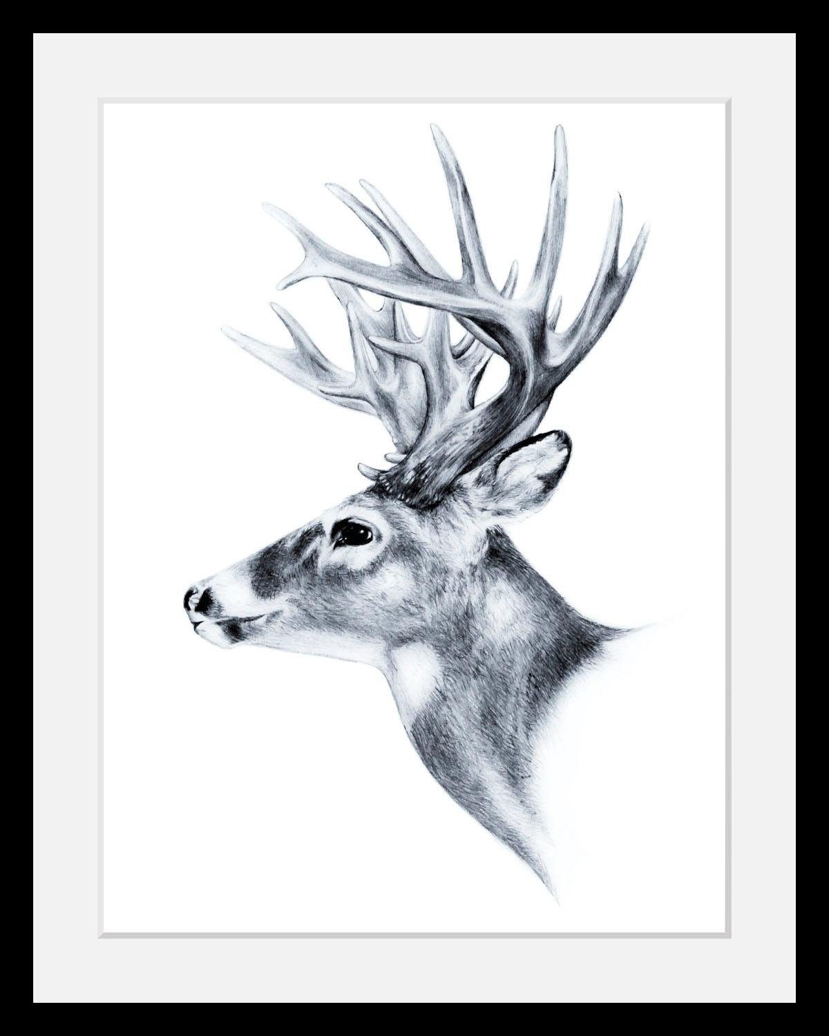 queence Bild Hirsch, Hirsch, Hirschbilder, Schwarz-Weiß, Tiere, Wildtiere, HD Premium Poster-Druck inkl. Holzrahmen