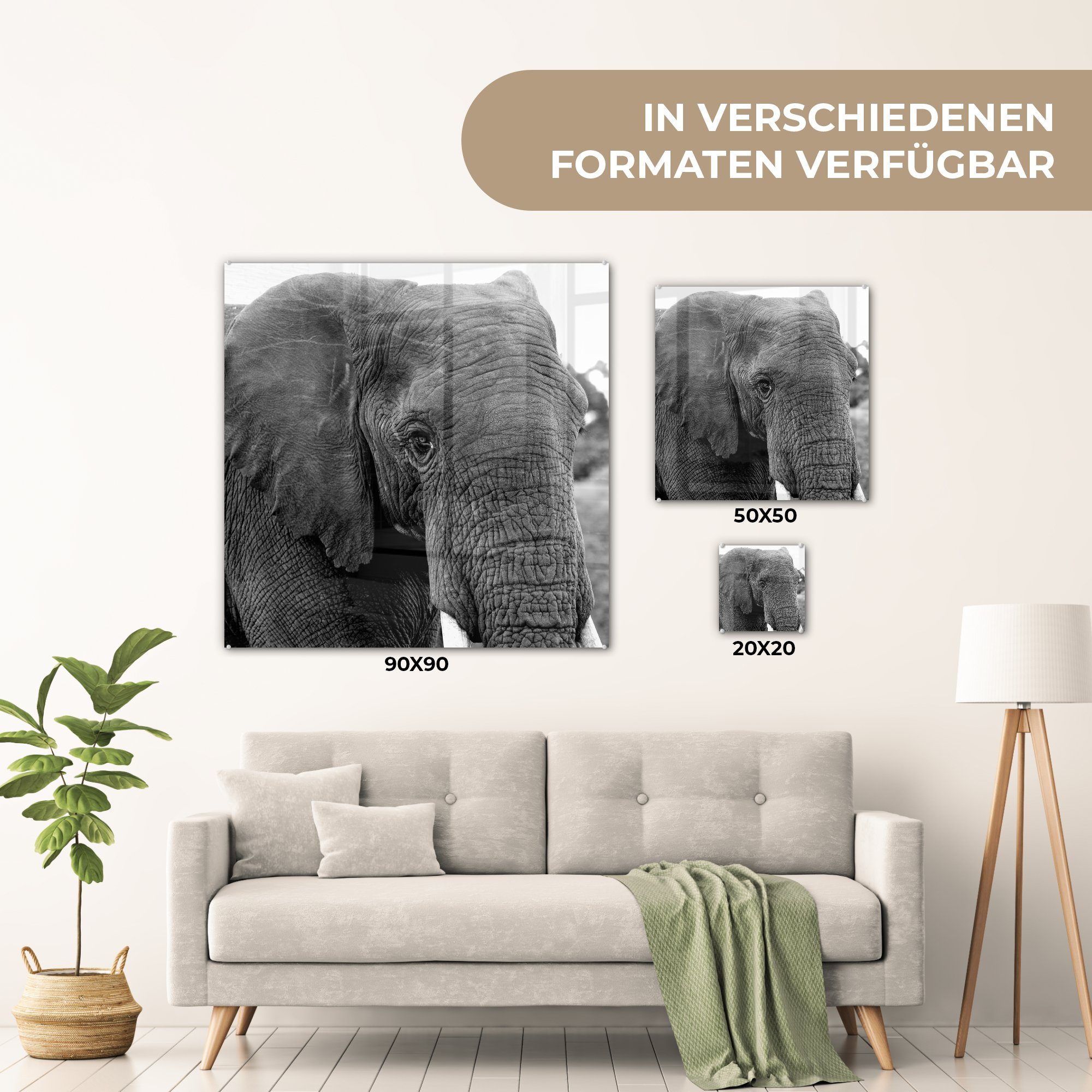 - Acrylglasbild Weiß Schwarz (1 auf St), Elefant MuchoWow Glas - - Tiere auf Natur, Foto - Wanddekoration Bilder Wandbild - - - Glasbilder Glas
