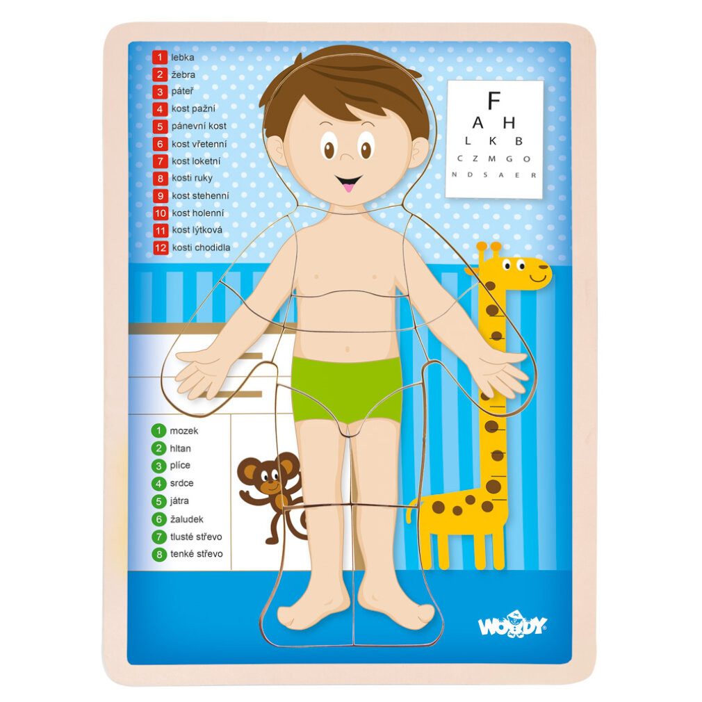 WrapUp Toys Spiel Puzzle ''Menschlicher Körper'' - Kluk CZ