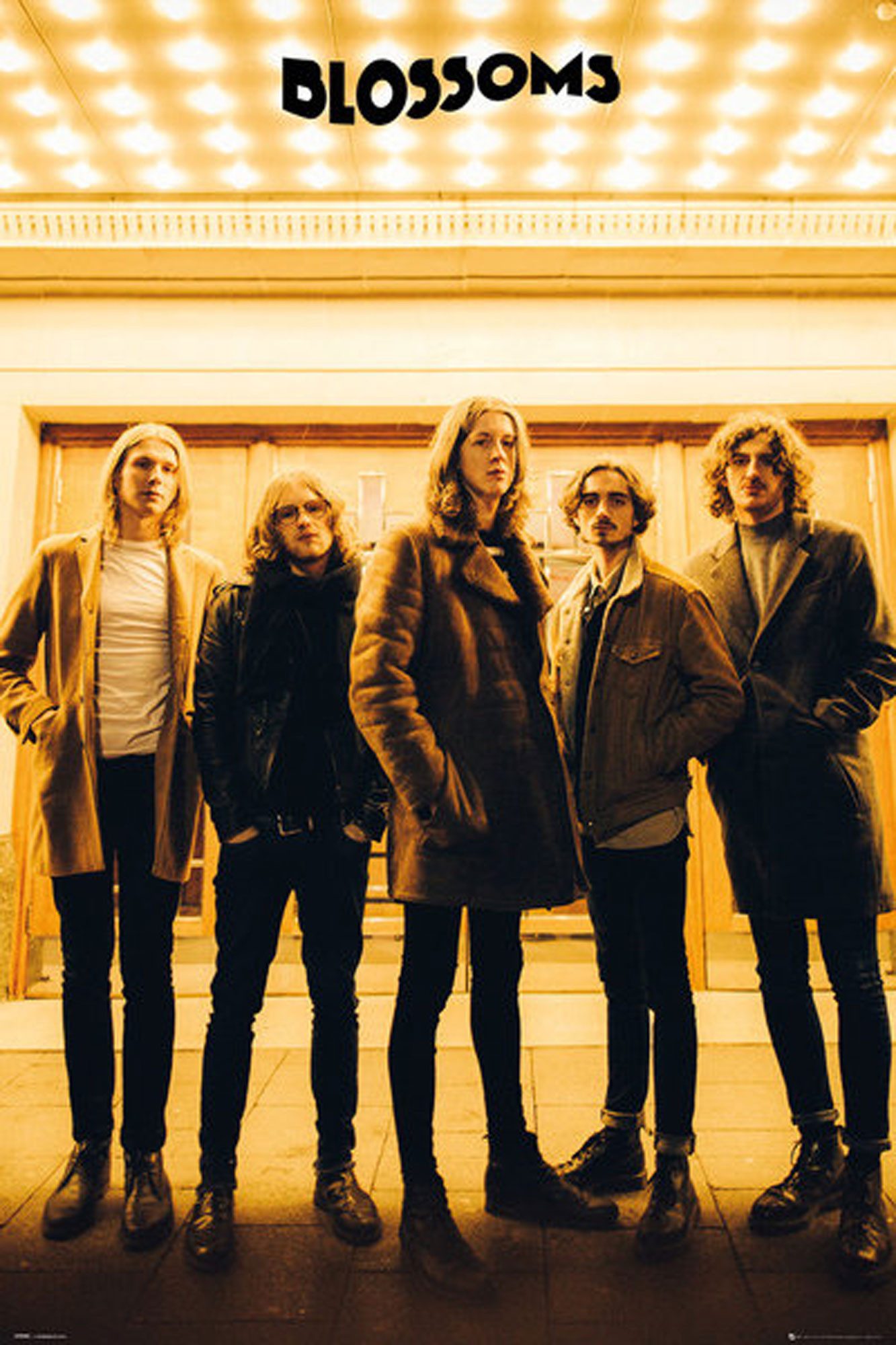 Poster Blossoms - Poster - Band