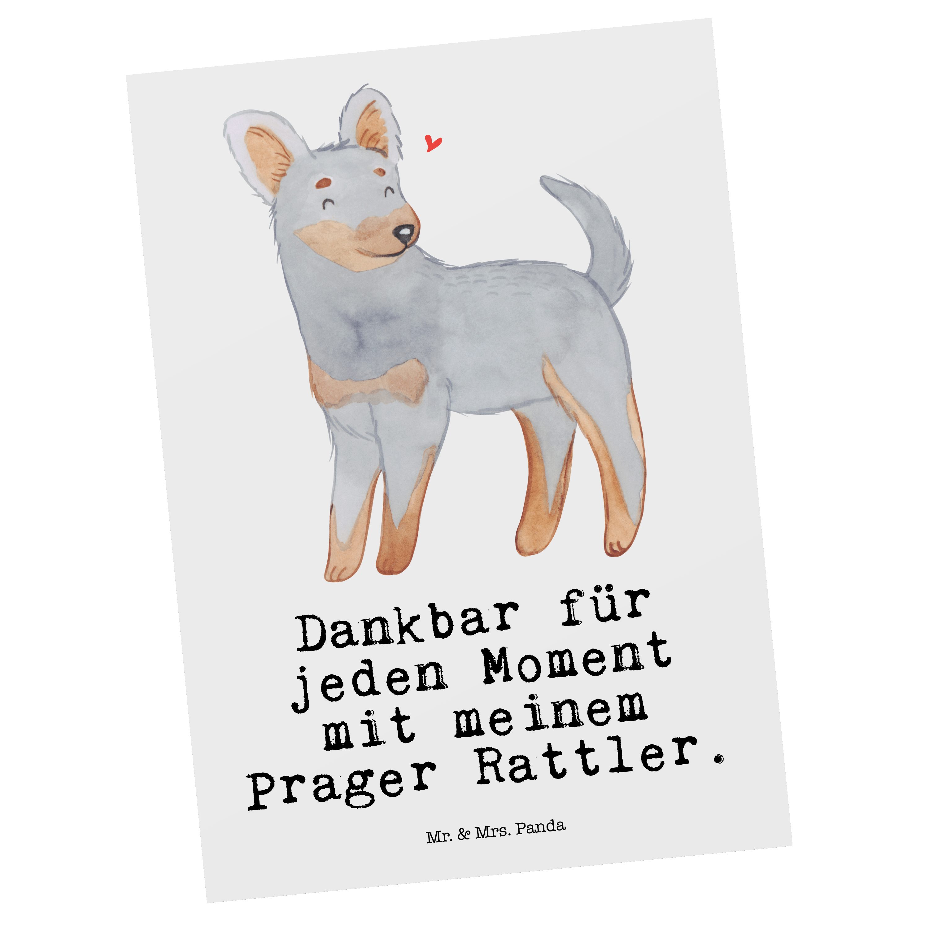 Mr. & Mrs. Panda Postkarte Prager Rattler Moment - Weiß - Geschenk, Geschenkkarte, Hund, Ansicht