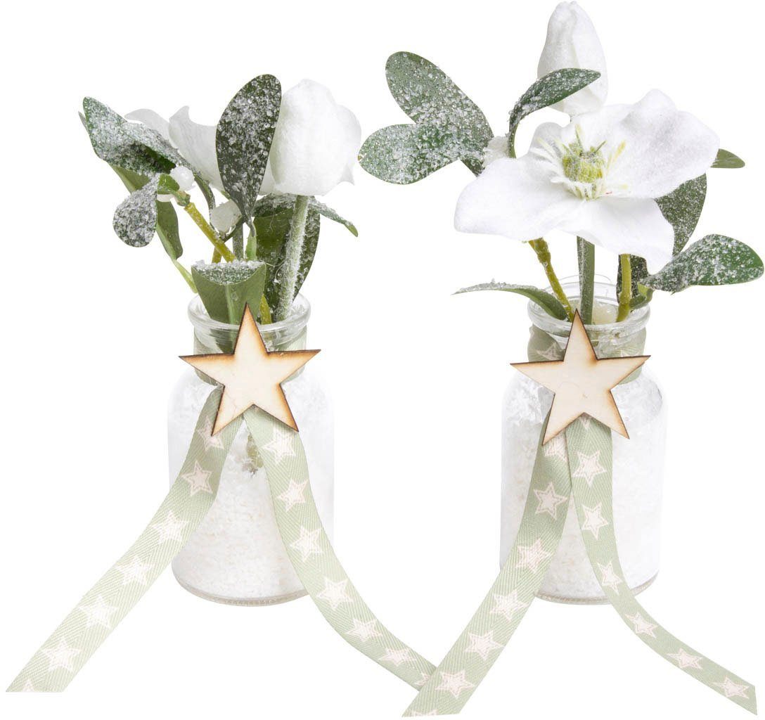 Künstliche Zimmerpflanze »Mistel-Arrangement« Mistel, Botanic-Haus, Höhe 18 cm-Otto