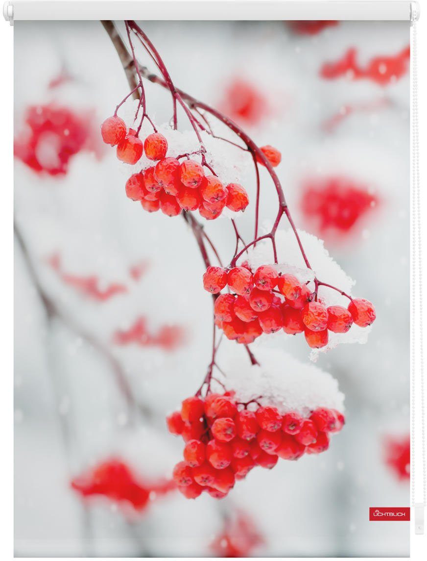 Seitenzugrollo verdunkelnd, - Klemmfix Weiß, ohne Rollo Rot freihängend, Bohren, ORIGINAL, LICHTBLICK Verdunkelung, Vogelbeeren Klemmfix,