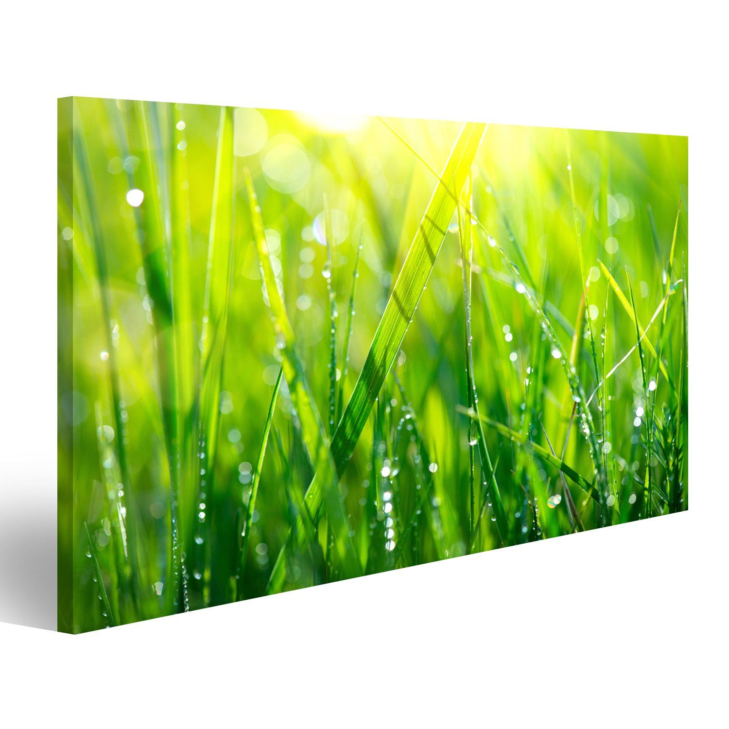 Leinwandbild Bild auf Leinwand Gras Frische Grüne Frühling Gras Mit Tautropfen Clos