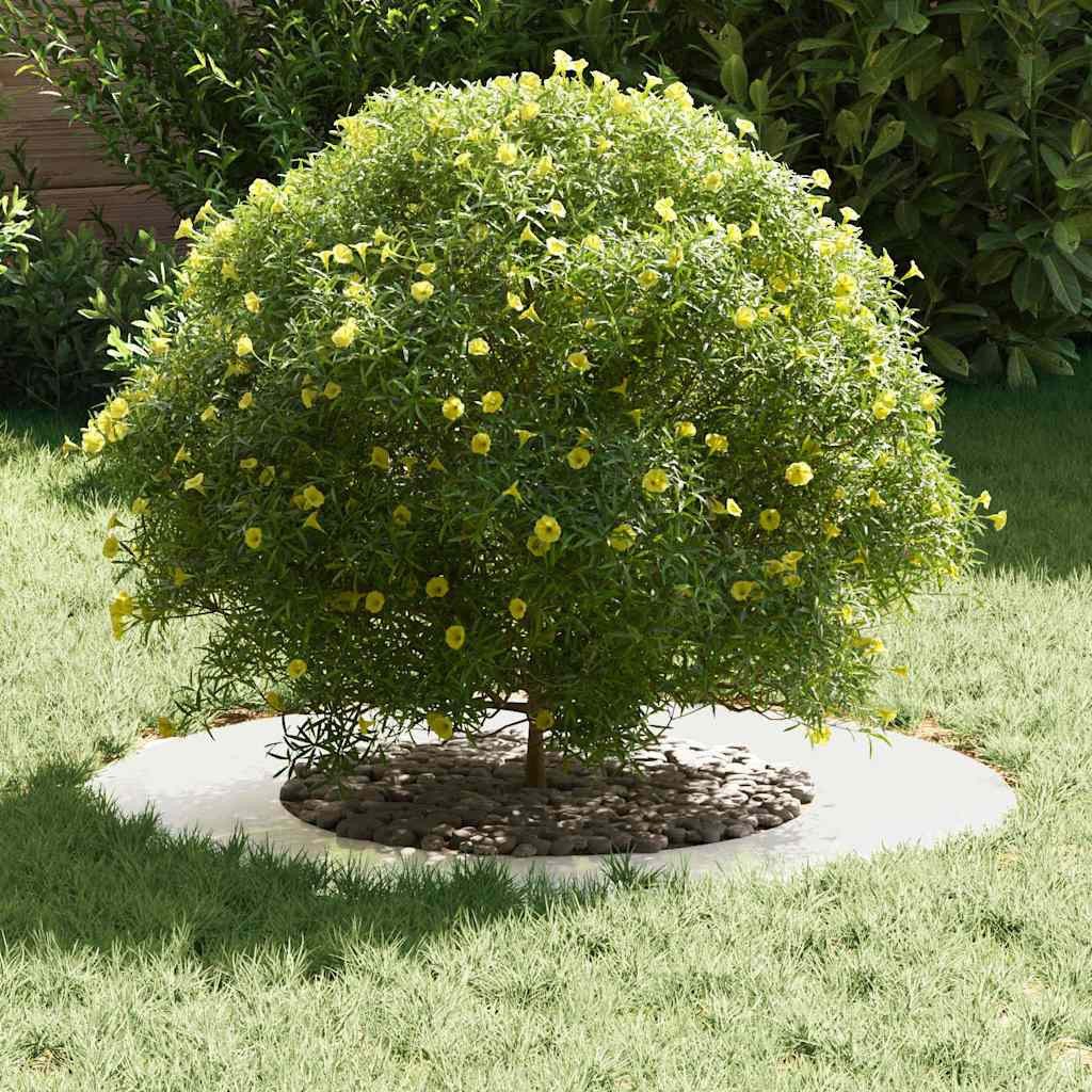 vidaXL Blumentopf Flache Baumringe 5 pcs günstig online kaufen