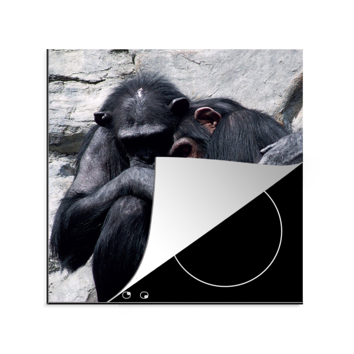 MuchoWow Herdblende-/Abdeckplatte Schimpanse - Stofftier - Tiere, Vinyl, (1 tlg), 78x78 cm, Ceranfeldabdeckung, Arbeitsplatte für küche
