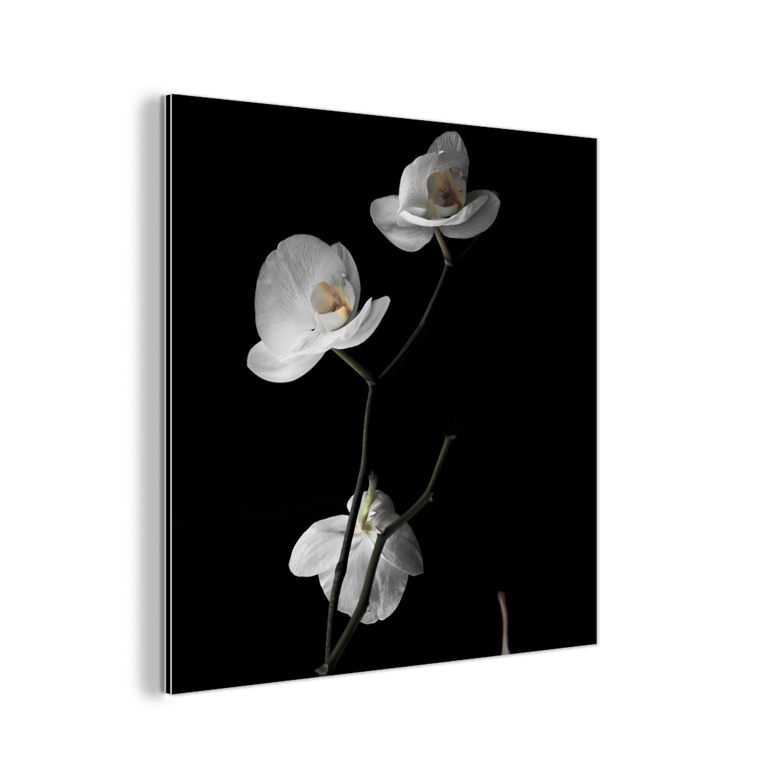 MuchoWow Metallbild Orchidee - - Blumen aus - Weiß Metall, St), Gemälde Stilleben, Aluminium Alu-Dibond-Druck, - Schwarz (1 deko