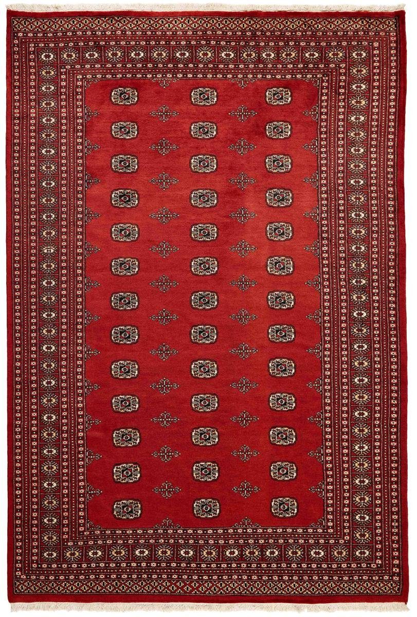 Orientteppich Pakistan Buchara 2ply 203x304 Handgeknüpfter Orientteppich, Nain Trading, rechteckig, Höhe: 8 mm