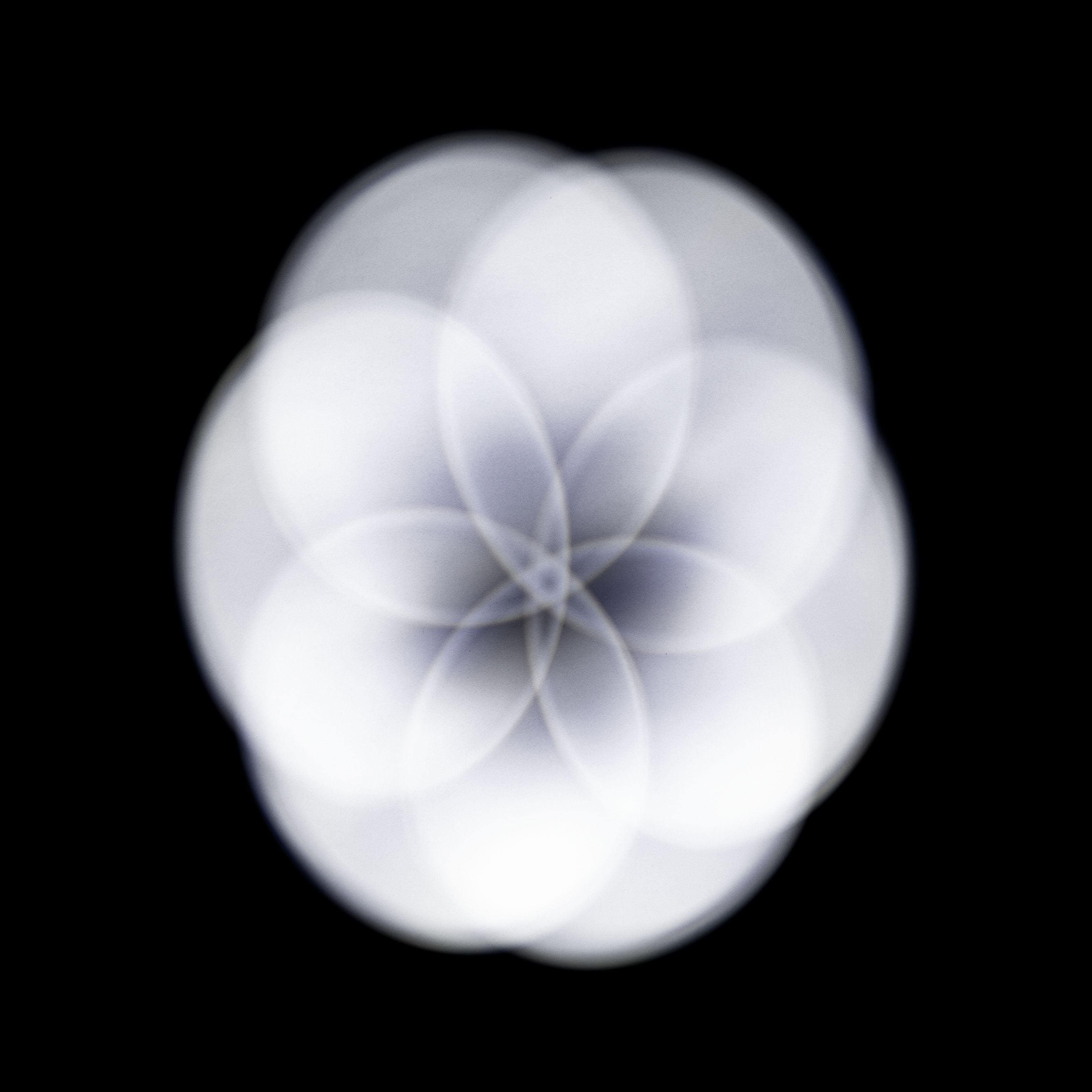 lightmaXX LED Scheinwerfer, Moving Head Spot, LED Moving Head, Zoom Moving Head