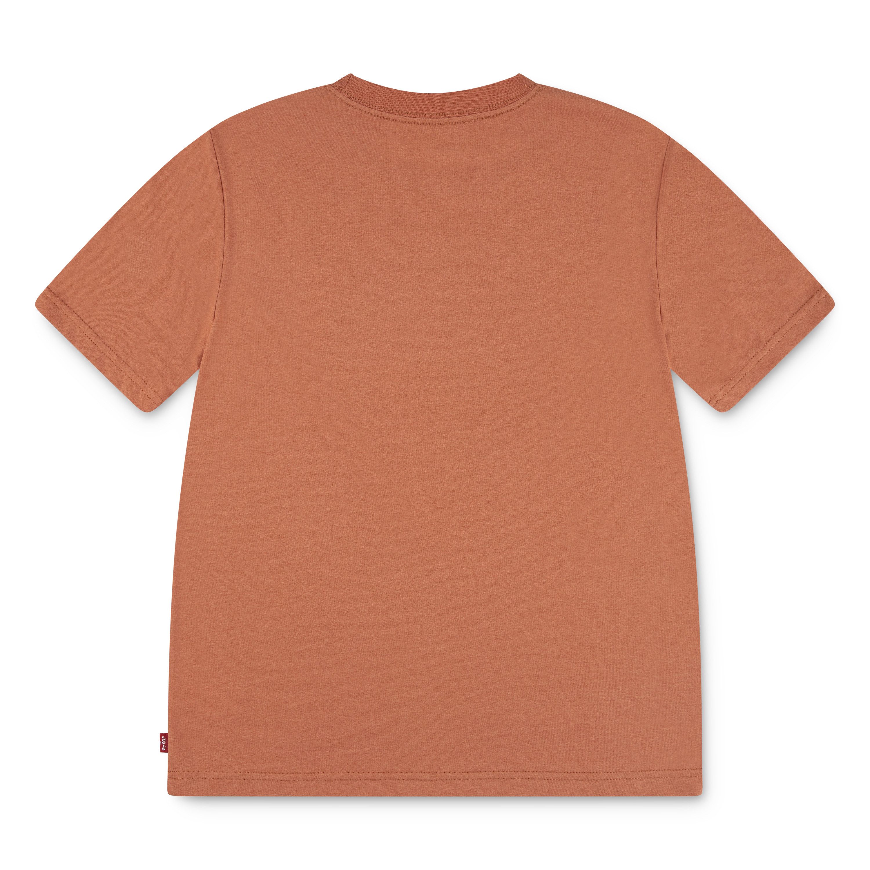 Levi's® Kids T-Shirt LVB DESERT TRAIL TEE mit Wüstenprint, for Boys