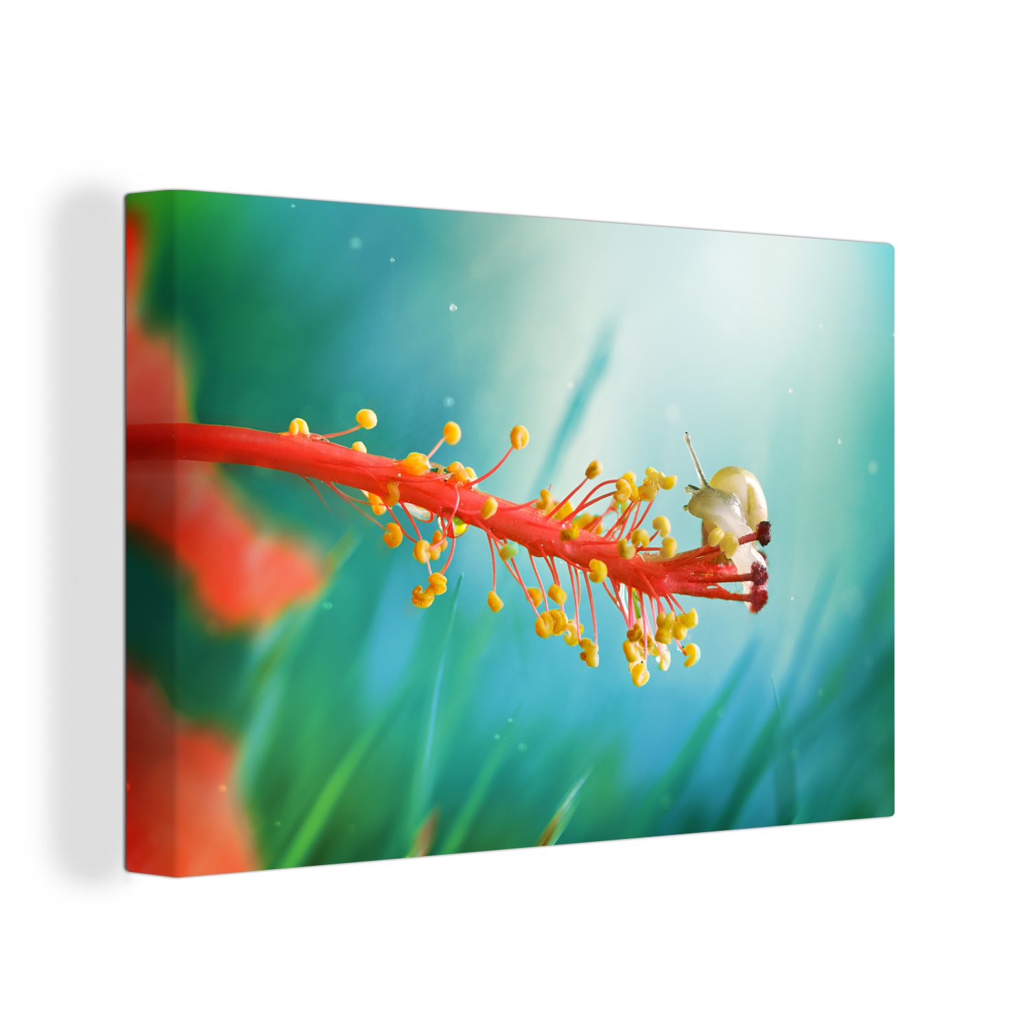 OneMillionCanvasses® Leinwandbild Schnecke auf Pflanze, (1 St), Wandbild Leinwandbilder, Aufhängefertig, Wanddeko, 30x20 cm