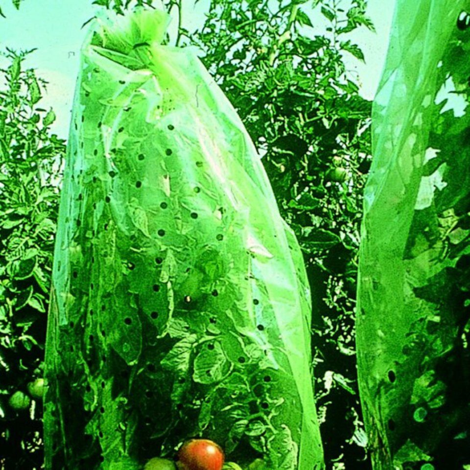 XCLOU Gartenvlies Tomatenhaube 0,65 x 10 m, (1-St)