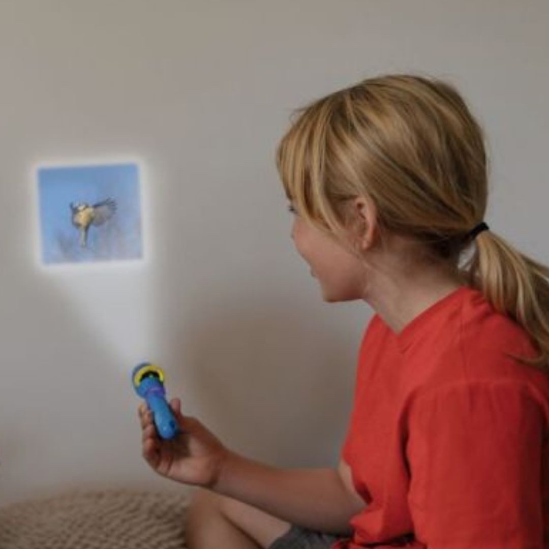 suebidou Diabetrachter Diashow EXTRA 'Unsere Vögel'