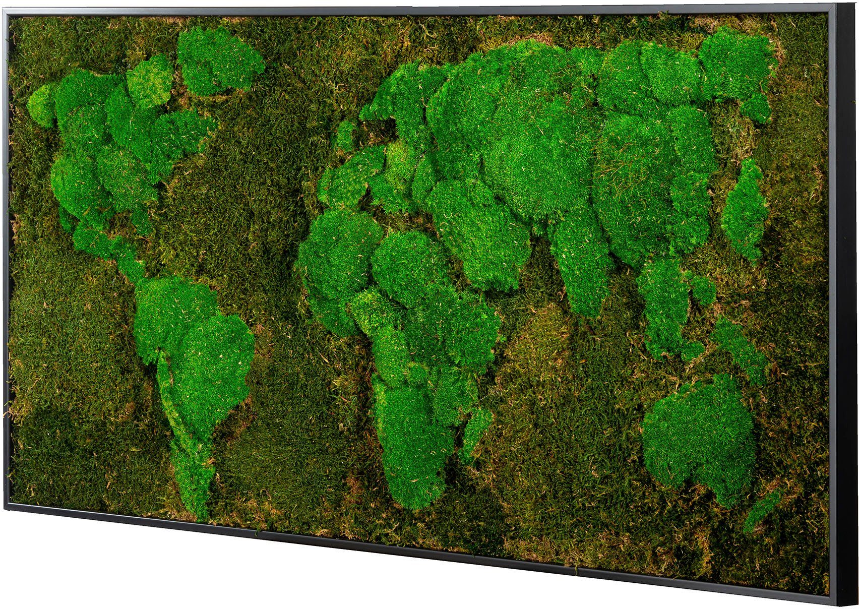 Bönninghoff Bild mit Rahmen Moos, Weltkarte (1 St), jedes Bild ein Unikat, BxH: 120x60 cm