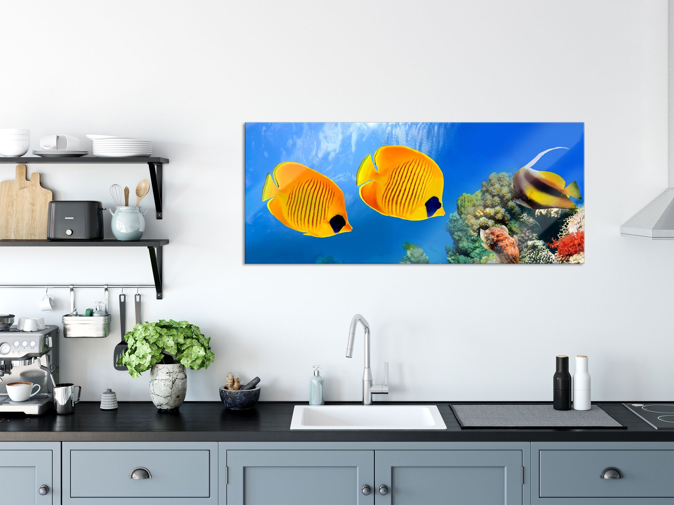 Echtglas, Korallenriff, Korallenriff (1 St), Glasbild aus Fische inkl. Abstandshalter Glasbild Aufhängungen und Pixxprint Fische